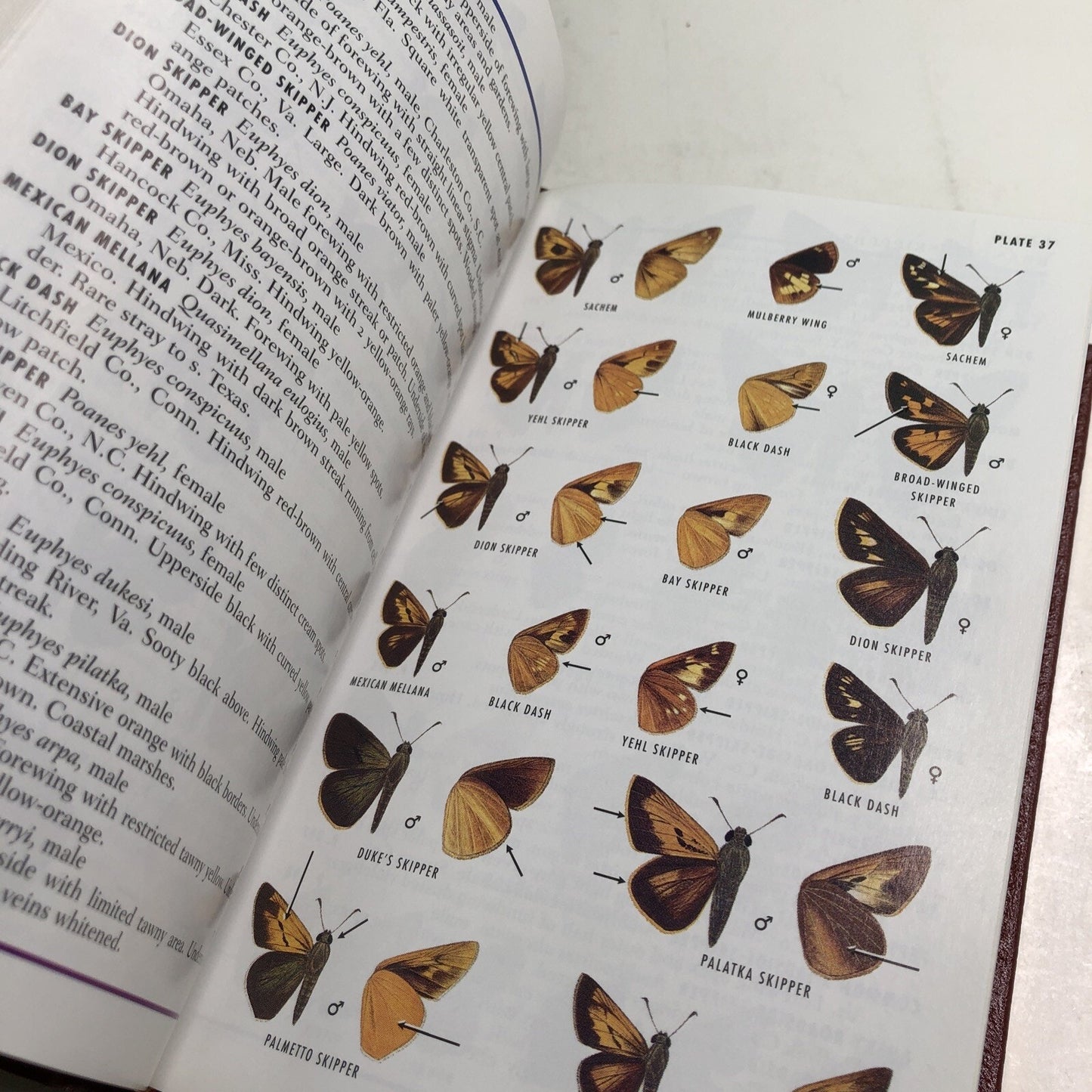 Roger Tory Peterson Field Guides: EASTERN BUTTERFLIES HC Leather Bound Bookplate