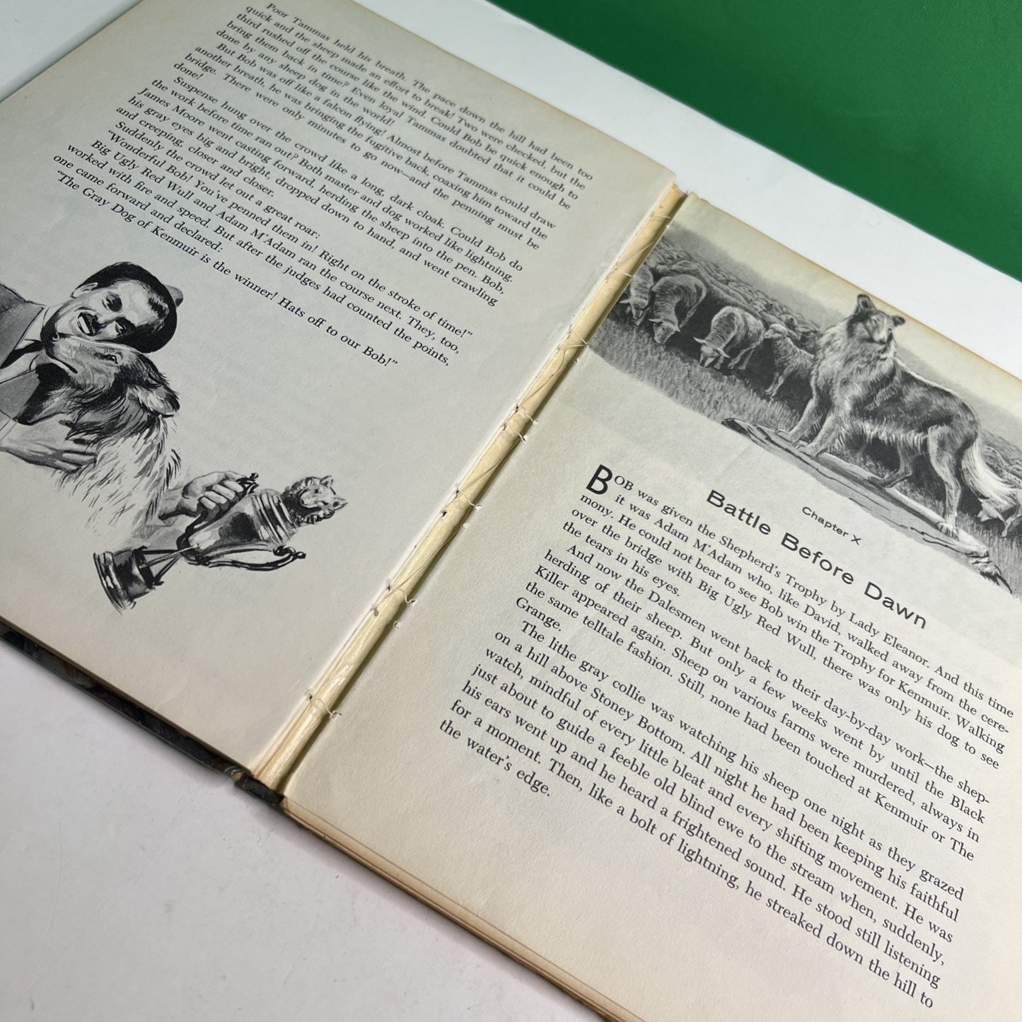 Alfred Ollivant’s Bob, Son Of Battle 1960 Illustrated HC by Olive Price
