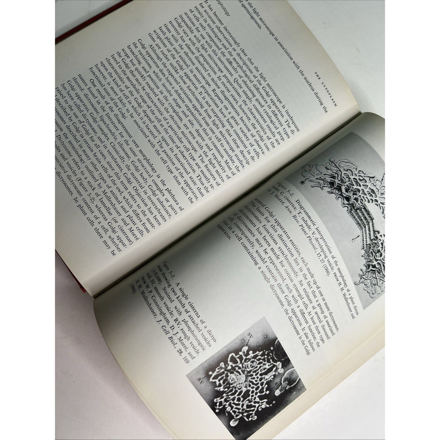 Elements of Cytology by Norman S Cohn 1969 Second Edition HC Illustrated
