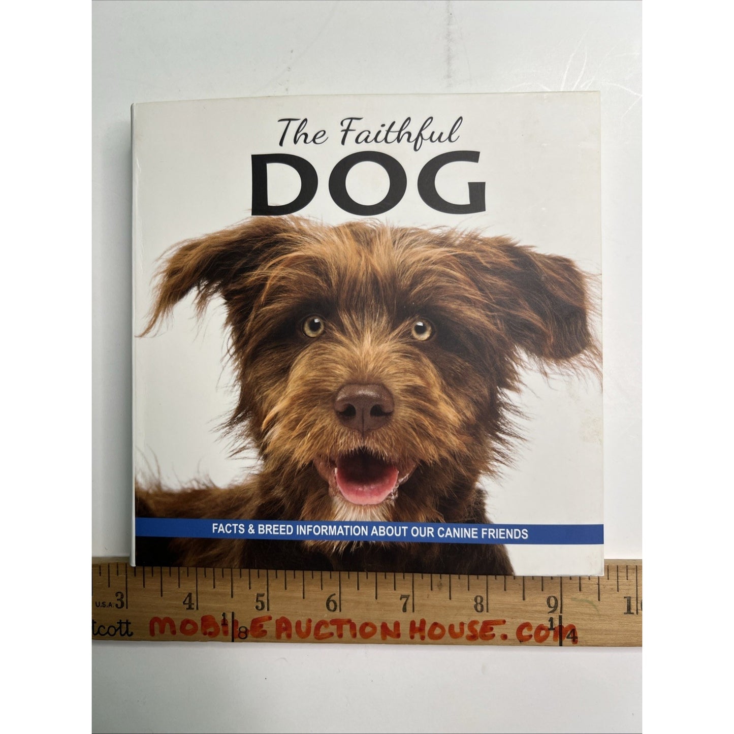 The Faithful Dog: Facts and Breed Information About Our Canine Friends 2016 PB