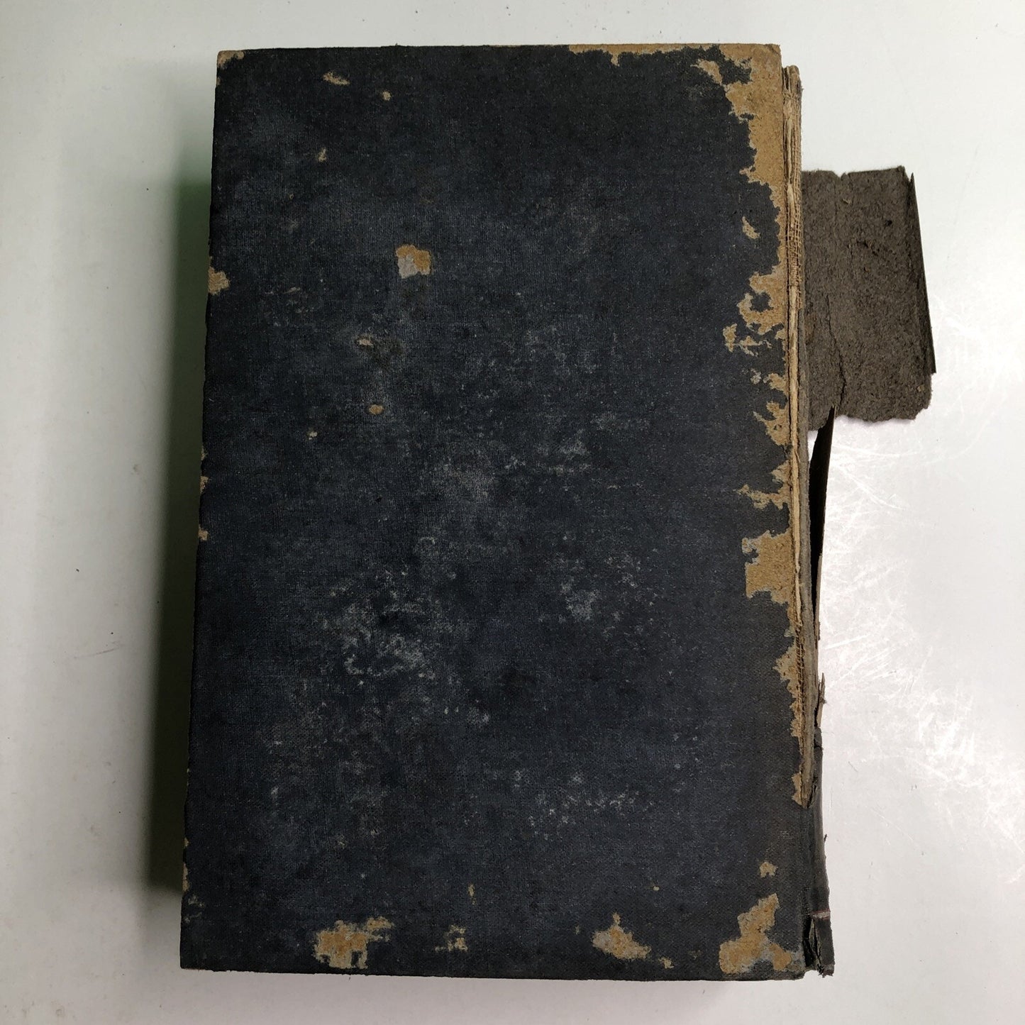 1908 The Romance Of Savage Life By G. F. Scott Elliot HC Antique Illustrated