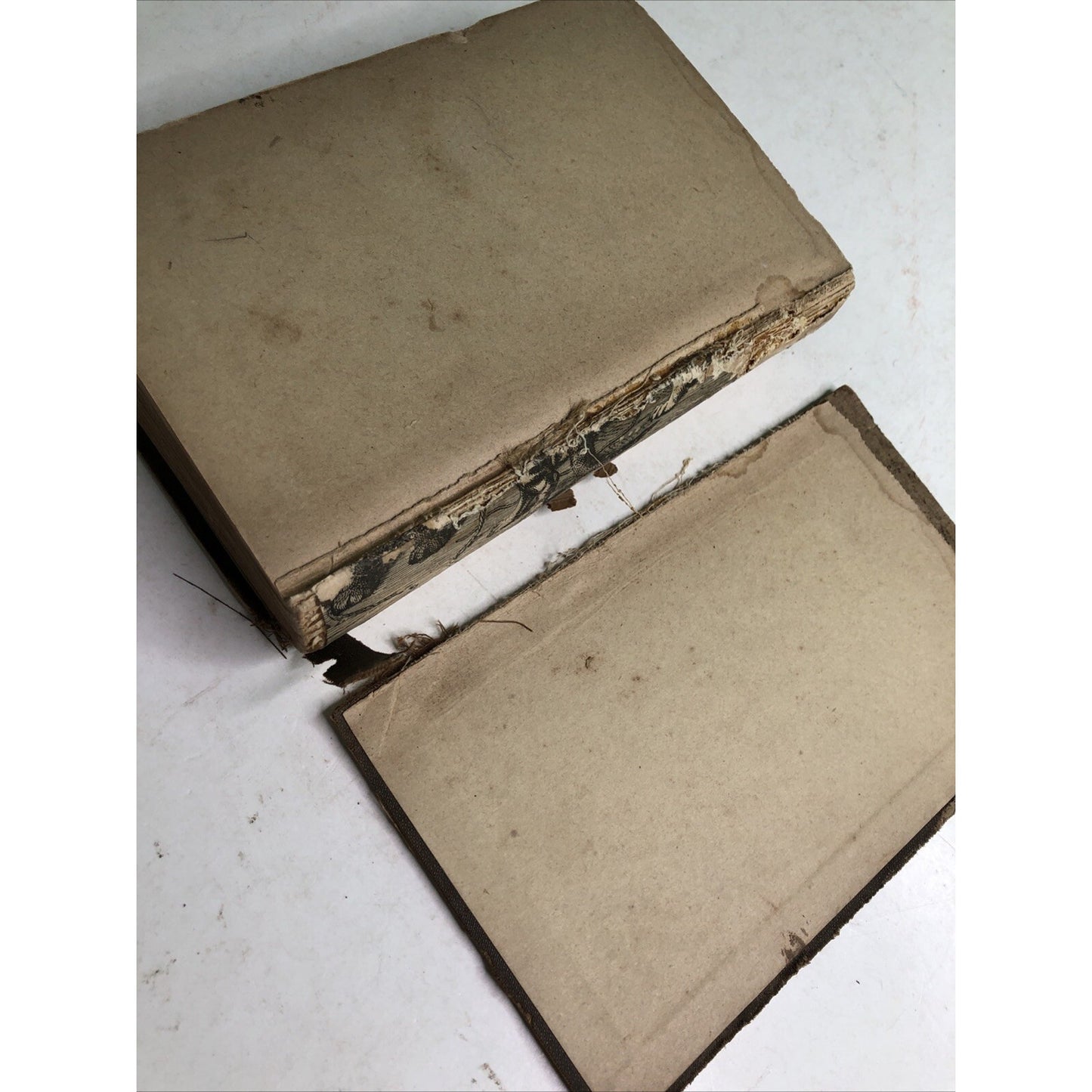 THE COMPLETE OFFICE OF HOLY WEEK Acc. to Roman Missal & Breviary Latin & English
