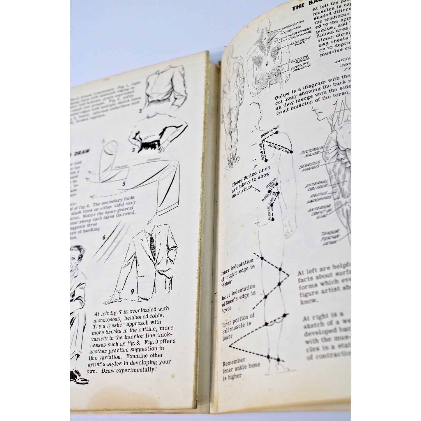 Drawing the Head & Figure: A How-To Handbook That Makes Drawing Easy- Jack Hamm