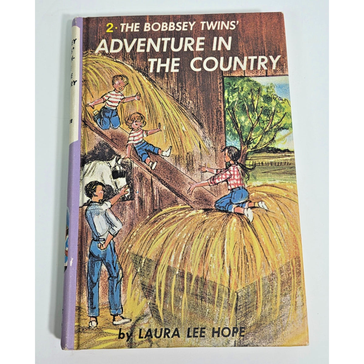Vintage Bobbsey Twins Adventure in the Country 1980s Filmways Edition