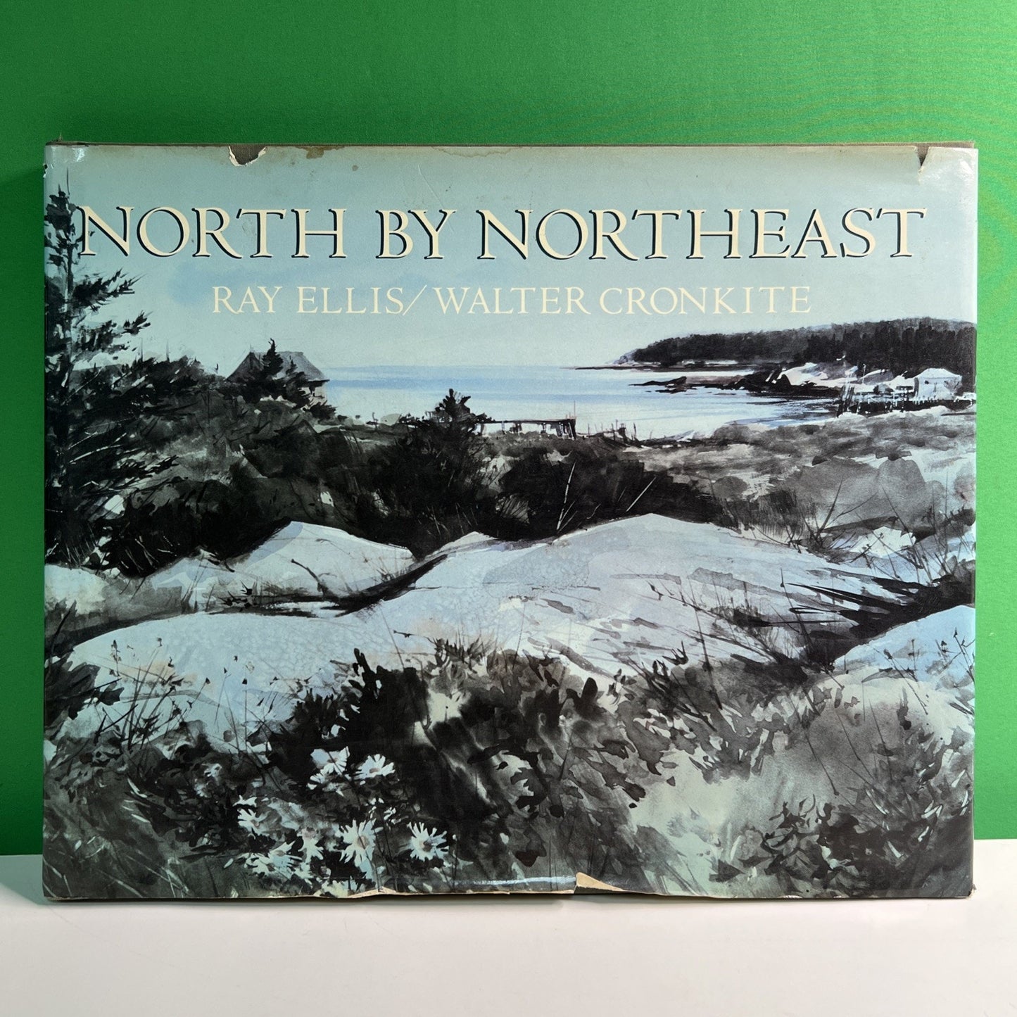NORTH BY NORTHEAST 1986 HC DJ by Ray Ellis & Walter Cronkite Illustrated 1st Ed