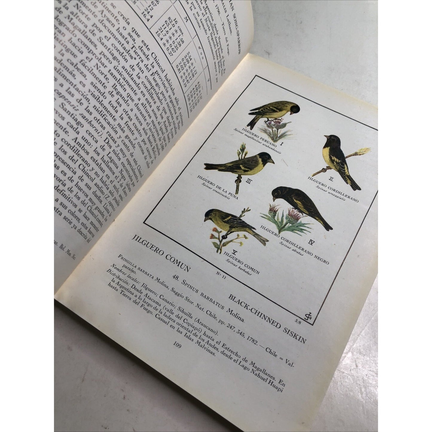 1946 PB Las Aves De Chile (Birds Of Chile) Illus. by Goodall Johnson Philippi