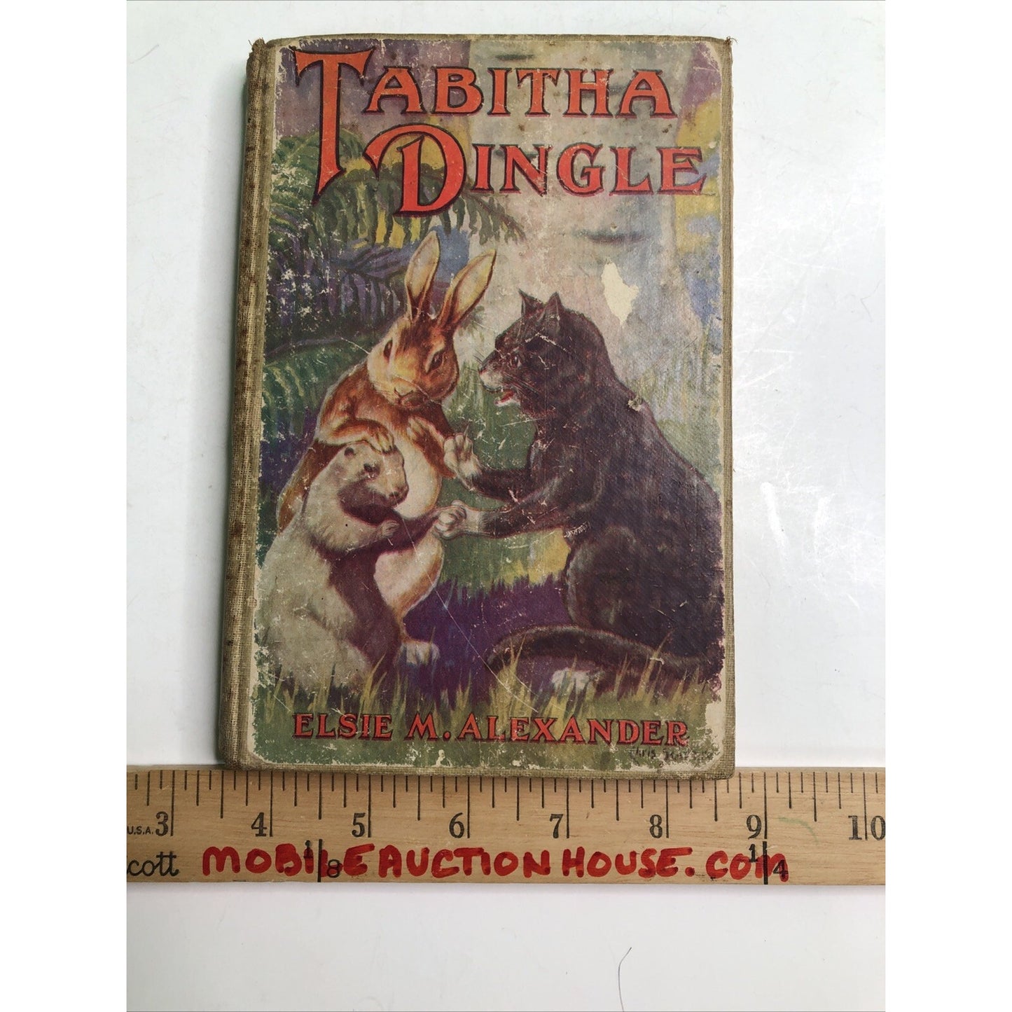 Tabitha Dingle by Elsie M. Alexander 1928 Illustrated FREE SHIPPING