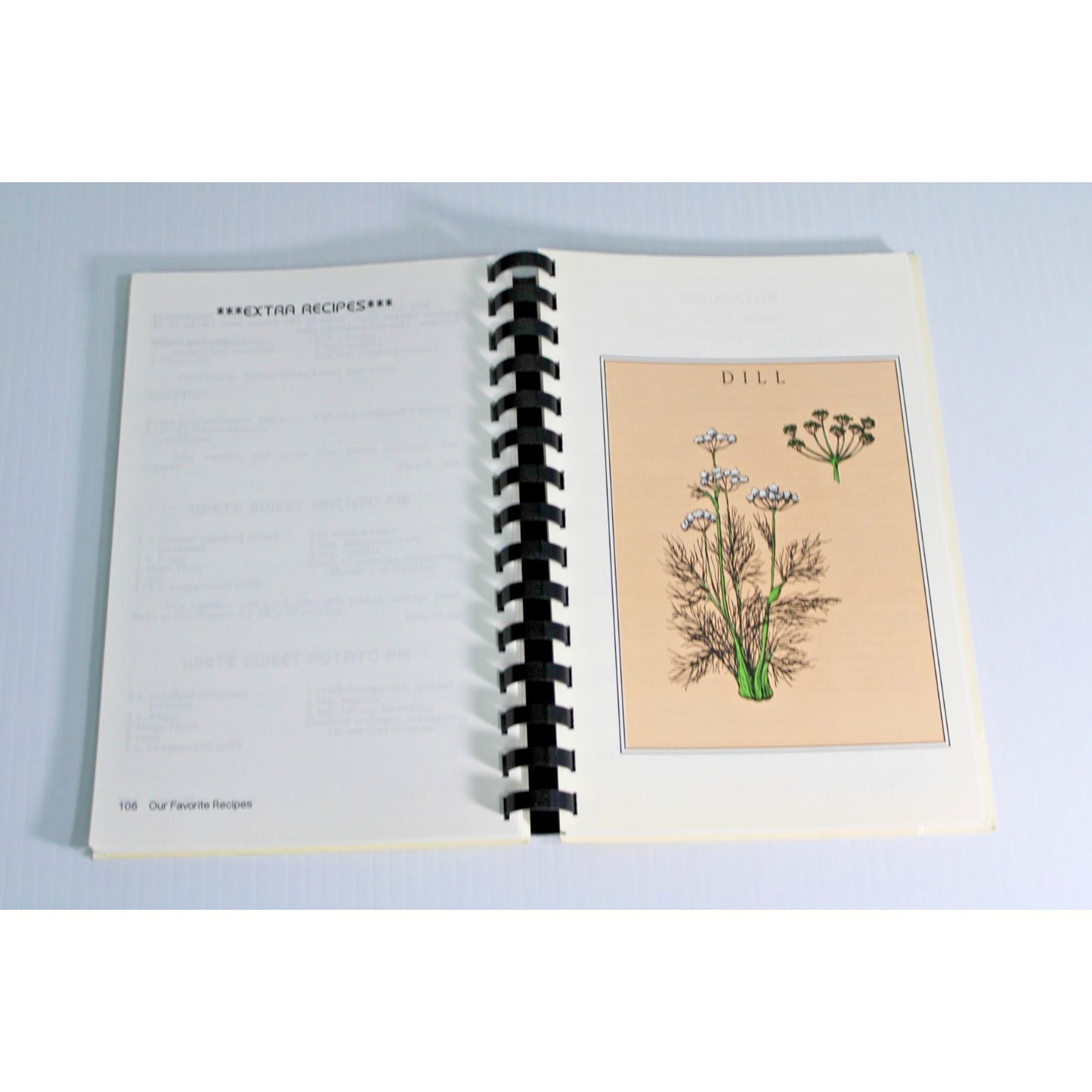 Favorite Recipes of Philadelphus Presbyterian Church of Waynesboro, Mississippi