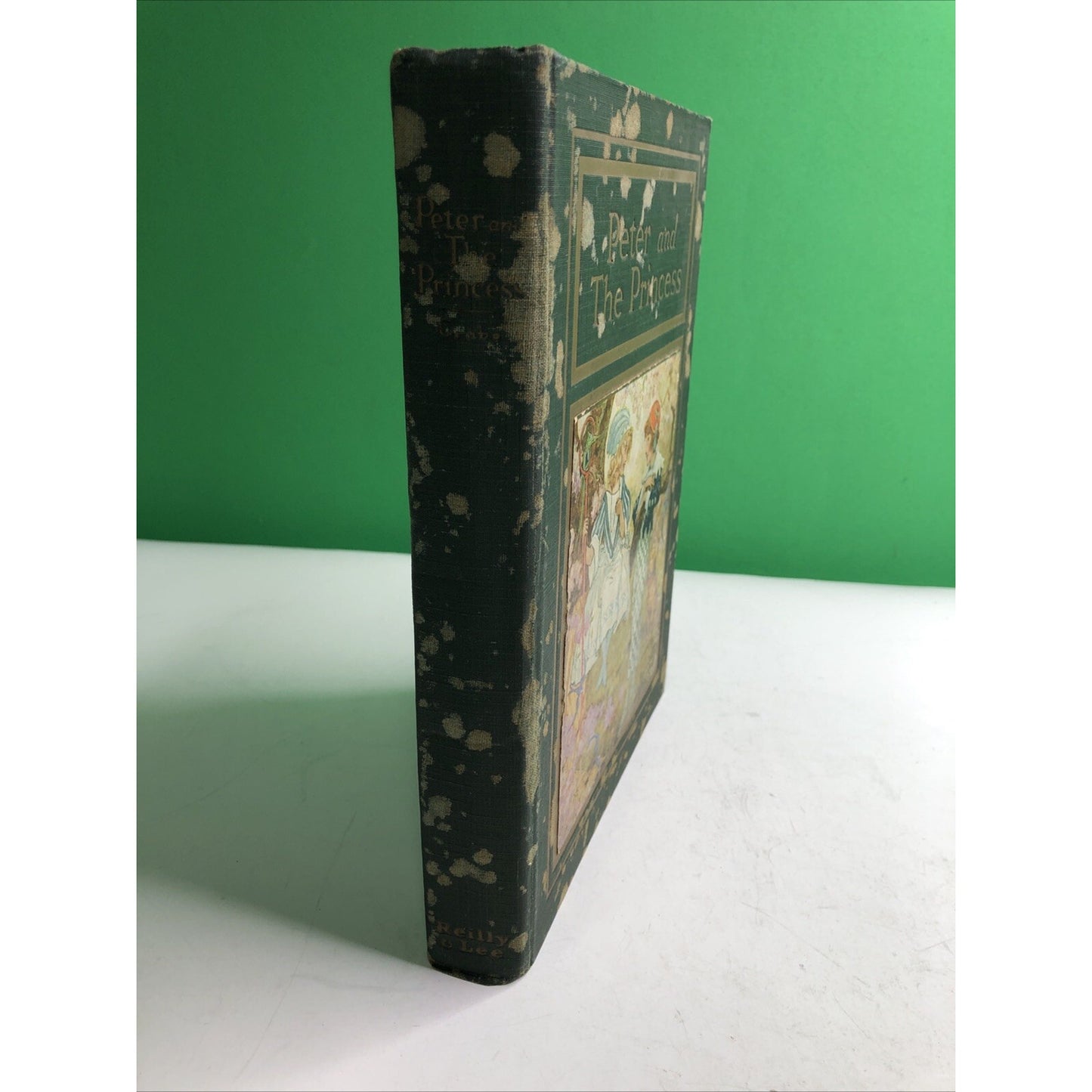PETER AND THE PRINCESS by Carl H. Grabo Art by John R. Neill 1st Edition 1920 HC
