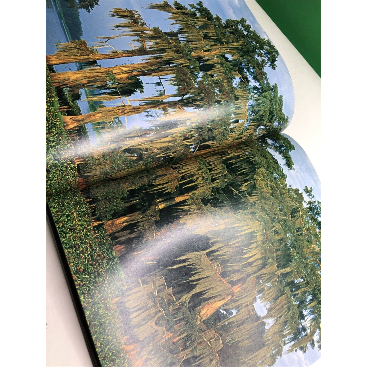 C. C. Lockwood's Atchafalaya by C. C. Lockwood 2007 Hardcover Louisiana