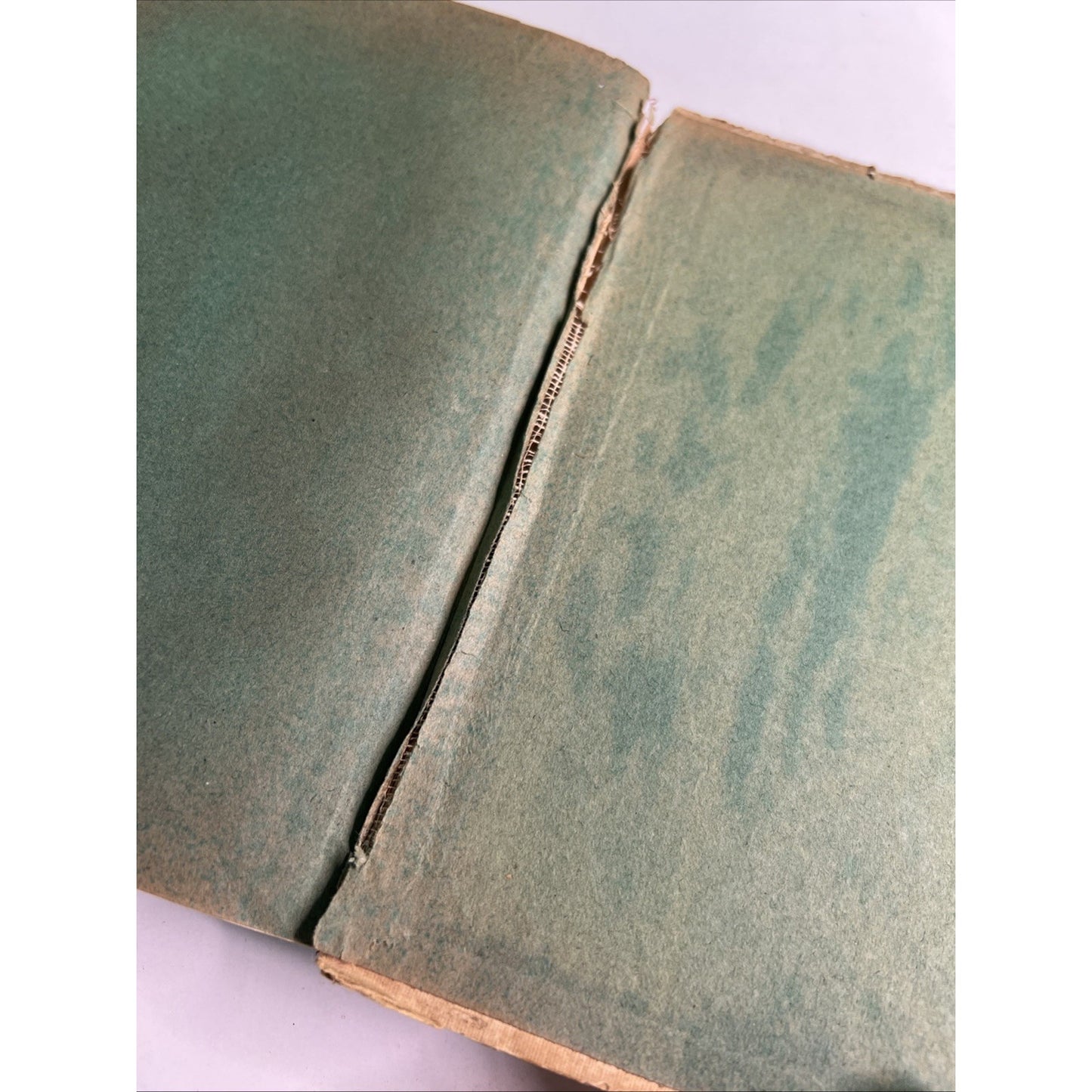 1913 German Novel Ahnungslofe Sunderin Unsuspecting Sinner by Ludwig Bendler