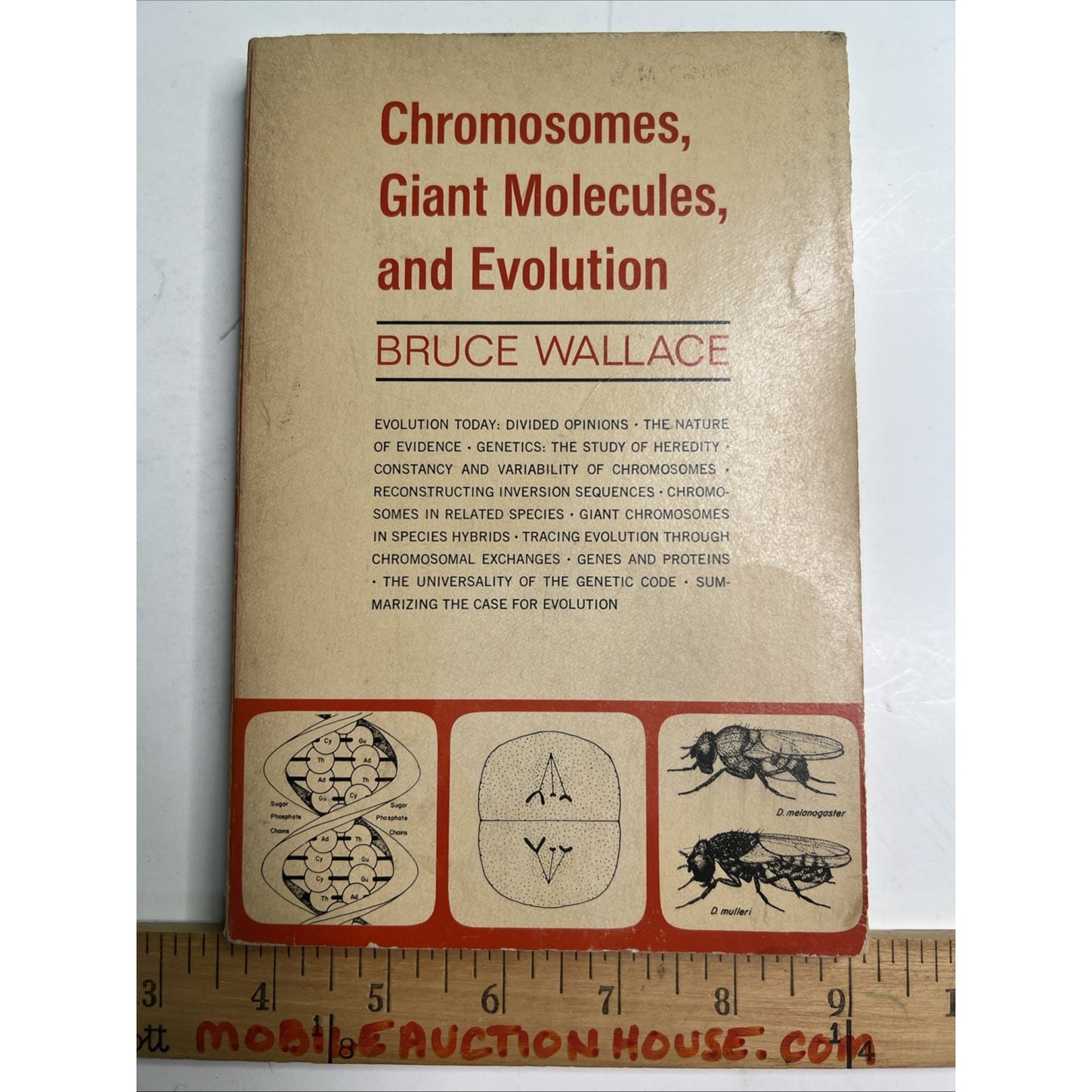 Chromosomes, Giant Molecules, and Evolution by Bruce Wallace 1966 PB 1st Edit.