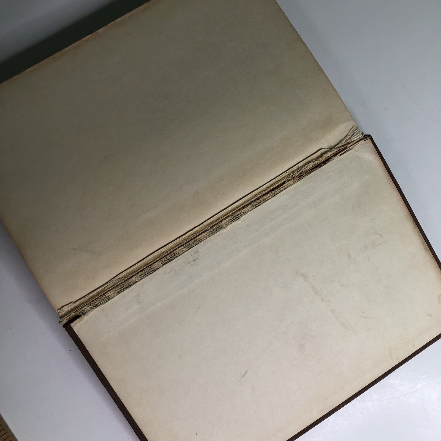 Developmental Anatomy by Leslie Brainerd Arey 5th Ed. 1950 Textbook Embryology