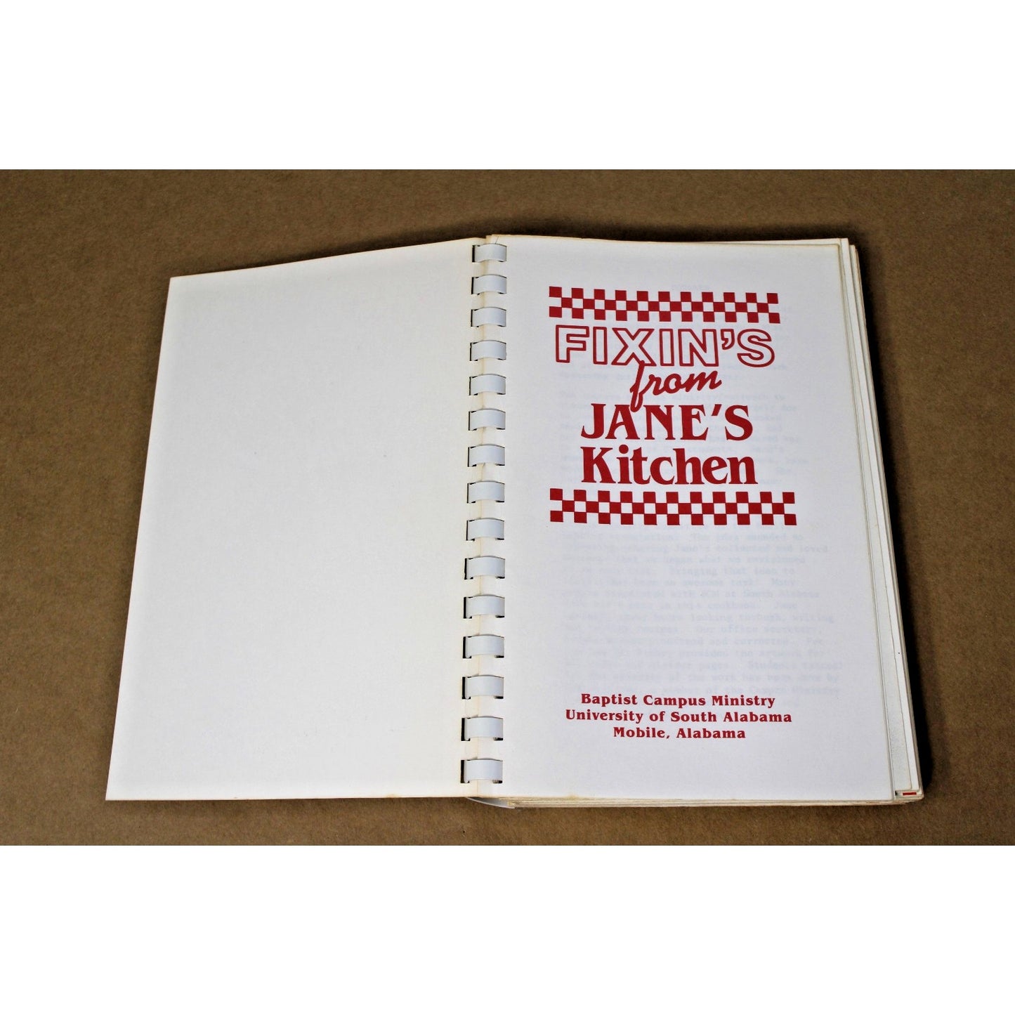 1988 Fixin's From Jane's Kitchen USA Baptist Campus Ministry Mobile, AL Cookbook