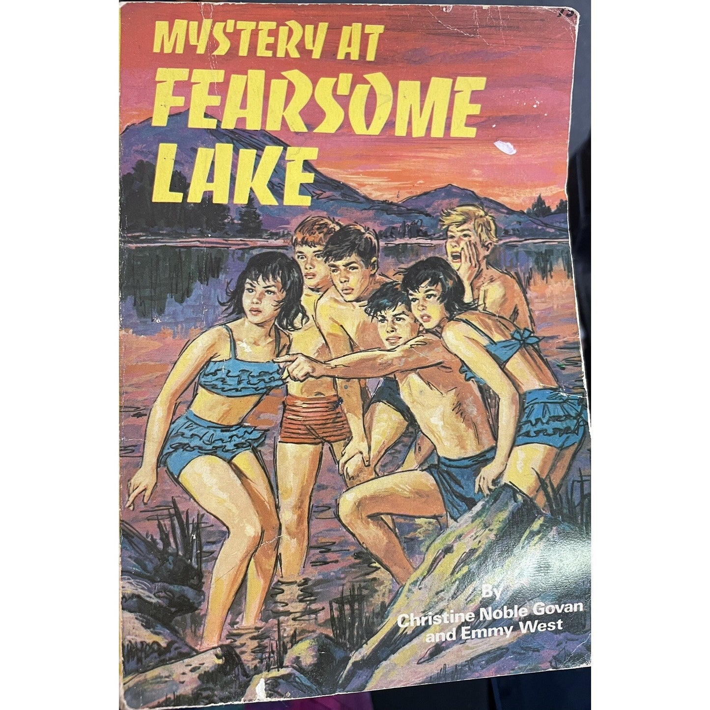 Vintage CHRISTINE GOVAN & EMMY WEST Mystery at Fearsome Lake Lookouts #10