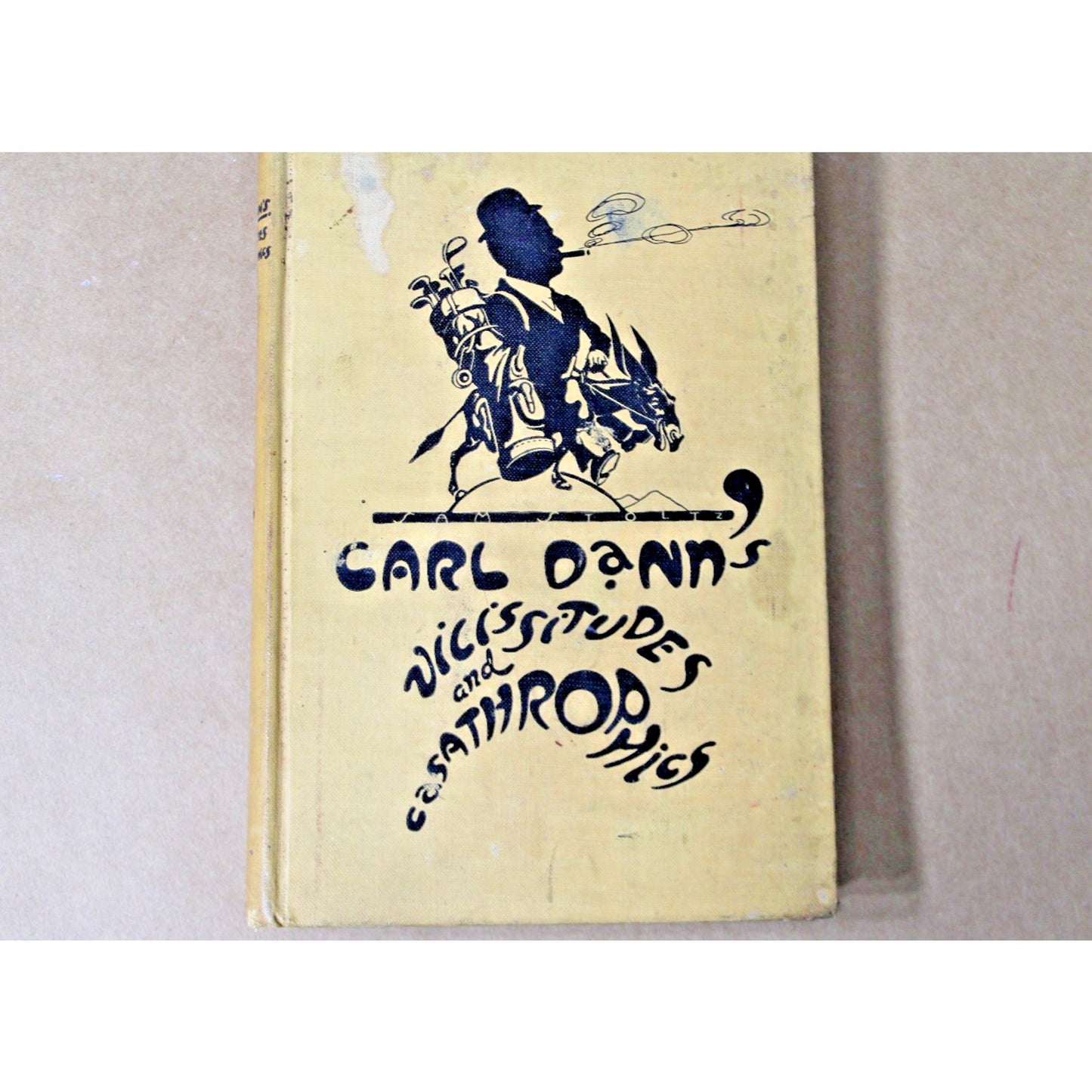 1929 Carl Dann's Vicissitudes And Casathrophics, Orlando Florida History Memoir