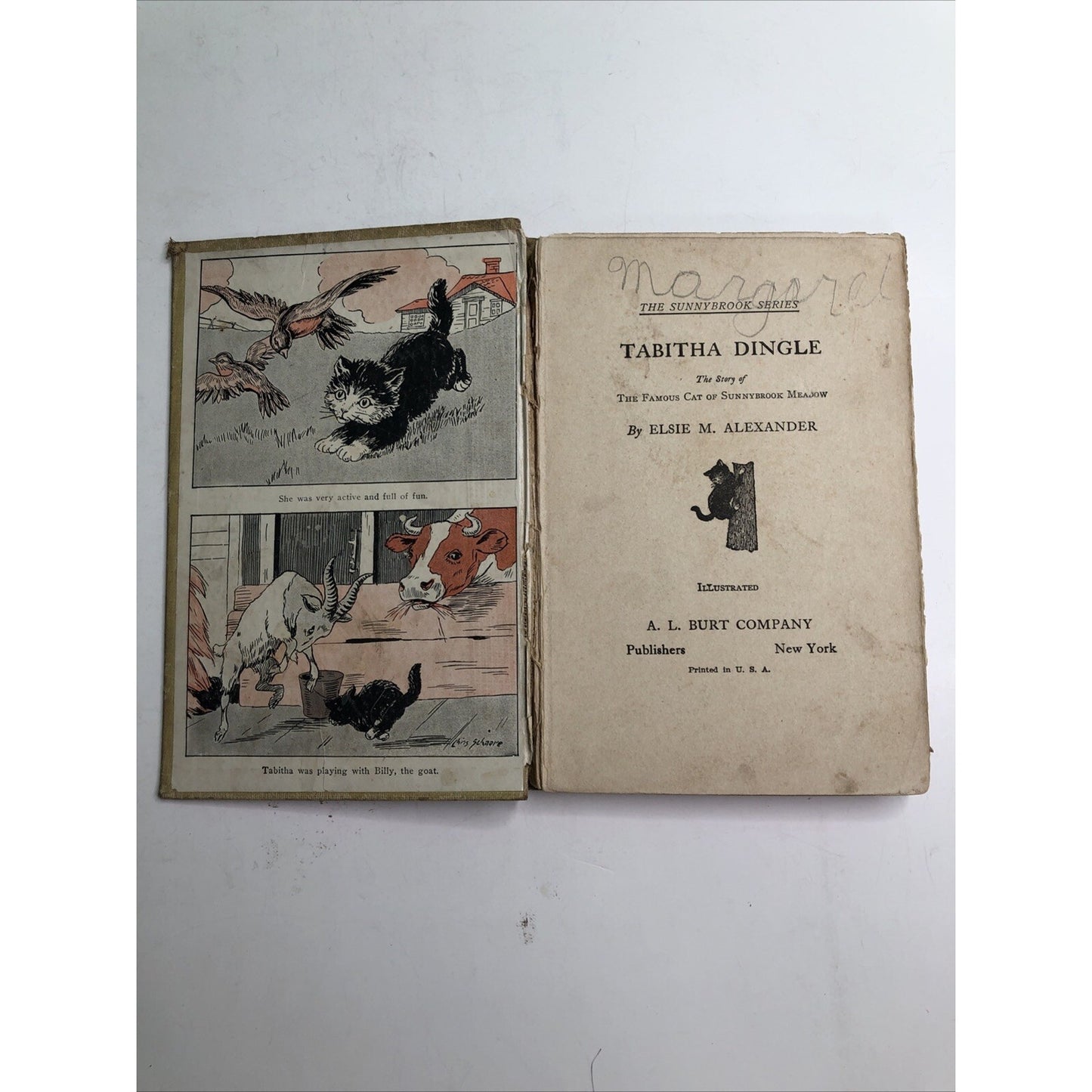 Tabitha Dingle by Elsie M. Alexander 1928 Illustrated FREE SHIPPING