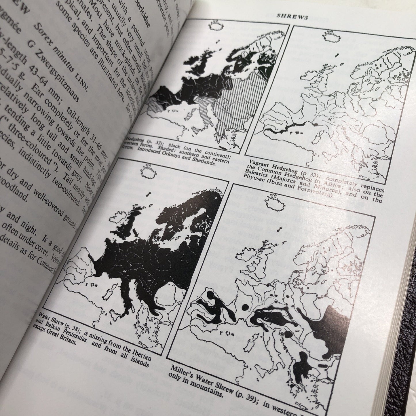 Roger Tory Peterson Field Guide: MAMMALS OF BRITAIN AND EUROPE HC Leather Bound