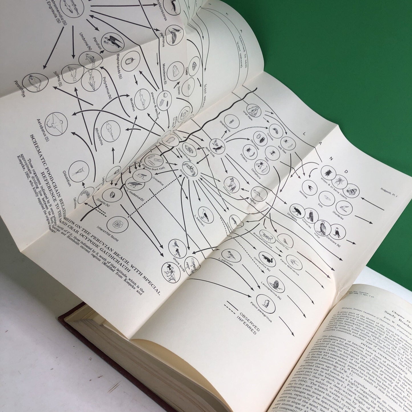 1957 Treatise Marine Ecology Paleoecology Vol. 1 Illus. Maps Geological Society