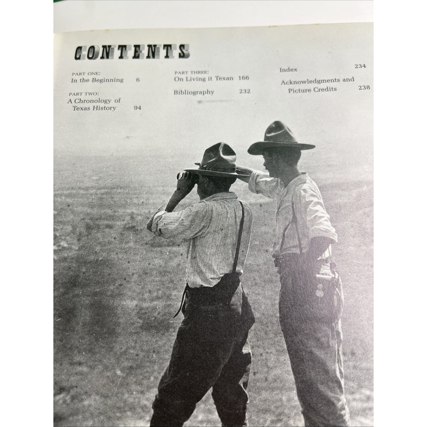 Texas A Self-Portrait by Jon Holmes HC DJ Illustrated 1983 Texas History