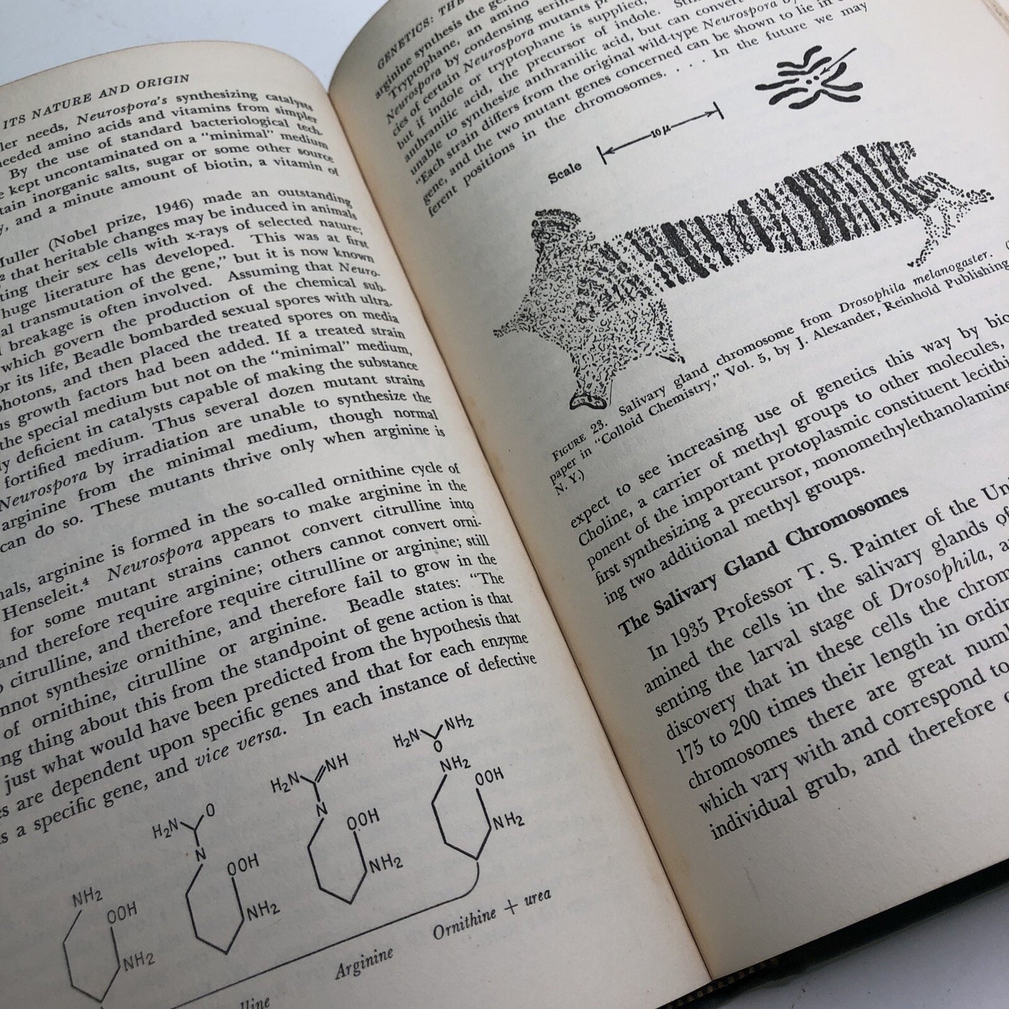 1948 Life Its Nature And Origin By Jerome Alexander HB Dust Jacket 1st Edition