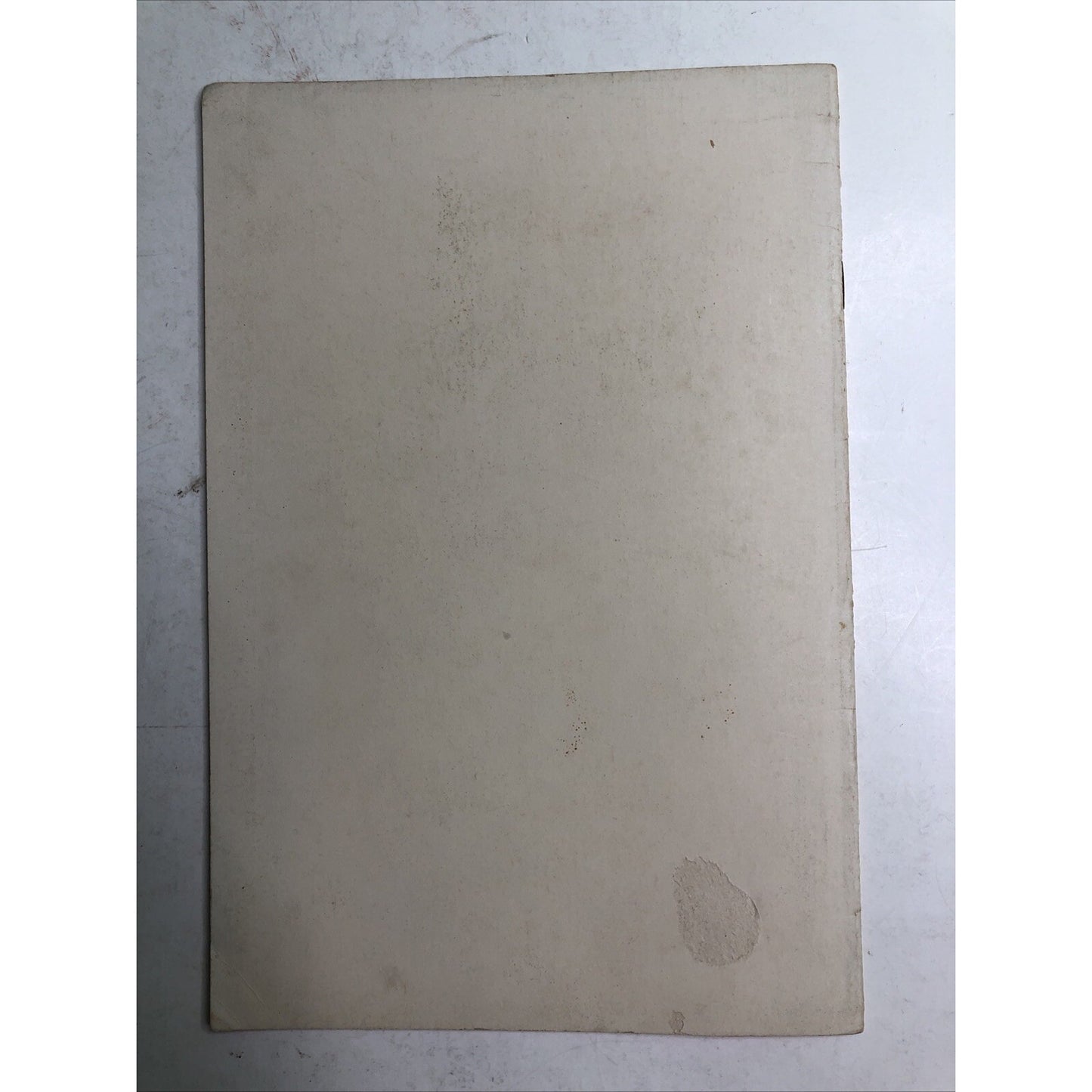 The Moffat-Ladd House & Its Garden Booklet A. T. & William Dudley New Hampshire