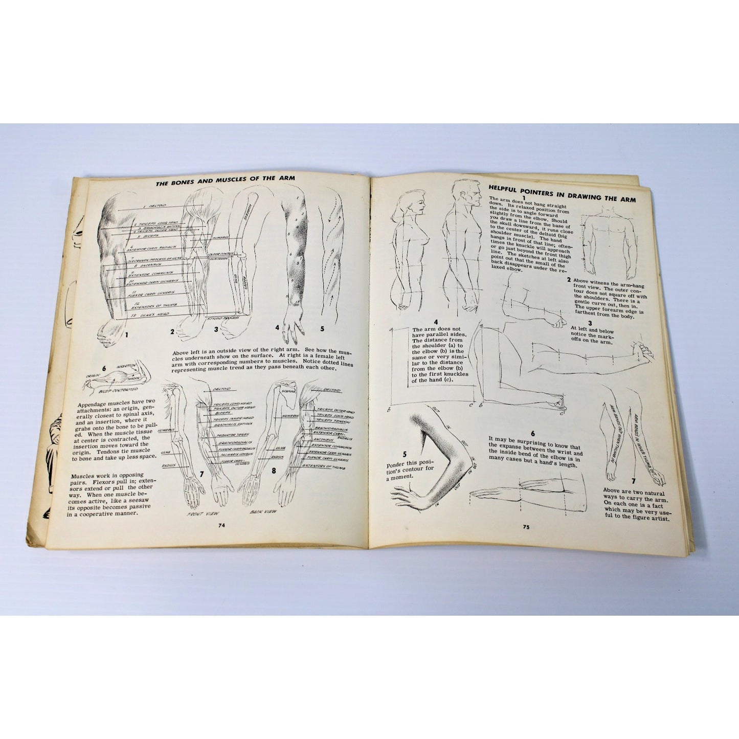 Drawing the Head & Figure: A How-To Handbook That Makes Drawing Easy- Jack Hamm