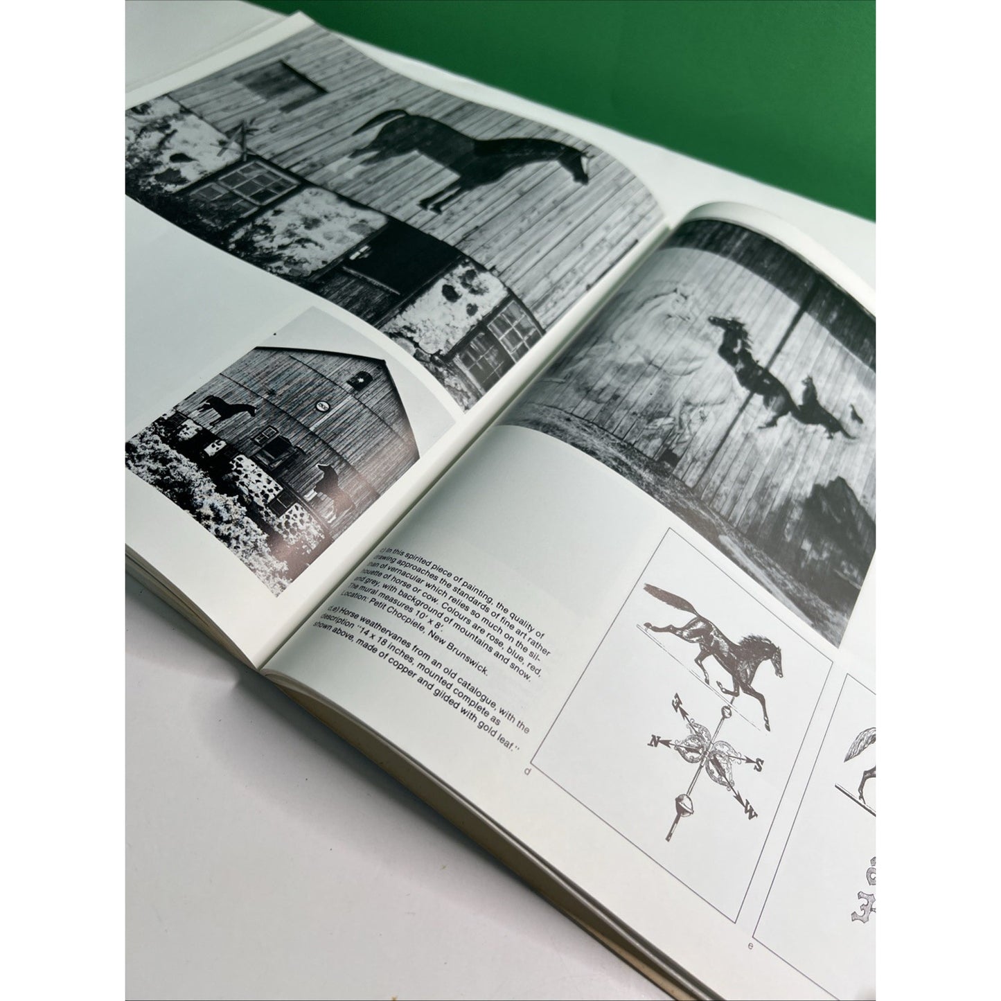 The Barn : A Vanishing Landmark in North America Dudley Witney and Eric Arthur