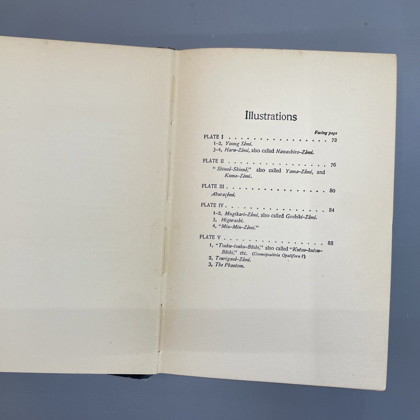 Shadowings By Lafcadio Hearn (Hardcover, 1919)