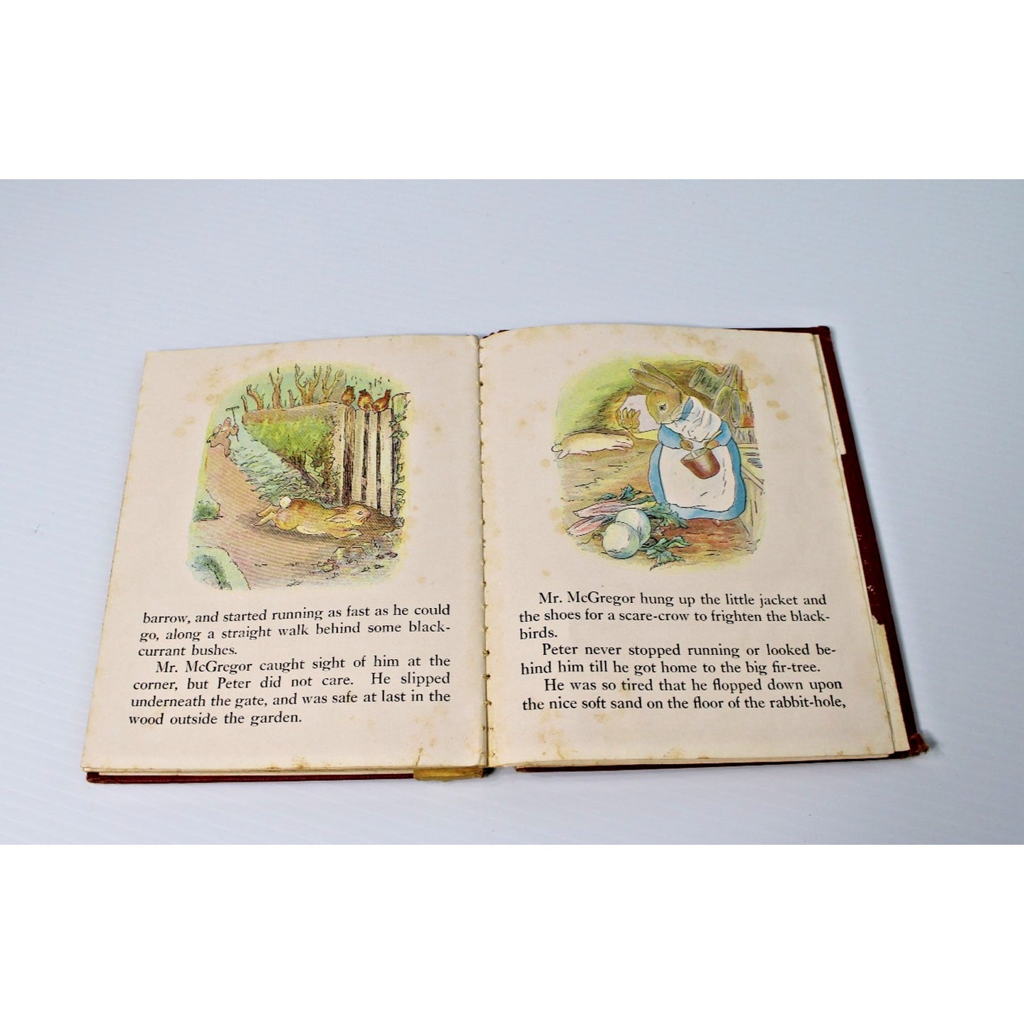 The Tale of Peter Rabbit- by Beatrix Potter Hardcover 1955 Color Illustrations