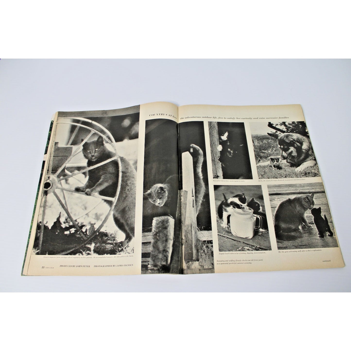 LOOK Magazine June 30 1964- Kennedy, Surfing Trend, Leslie Uggams, Medical News