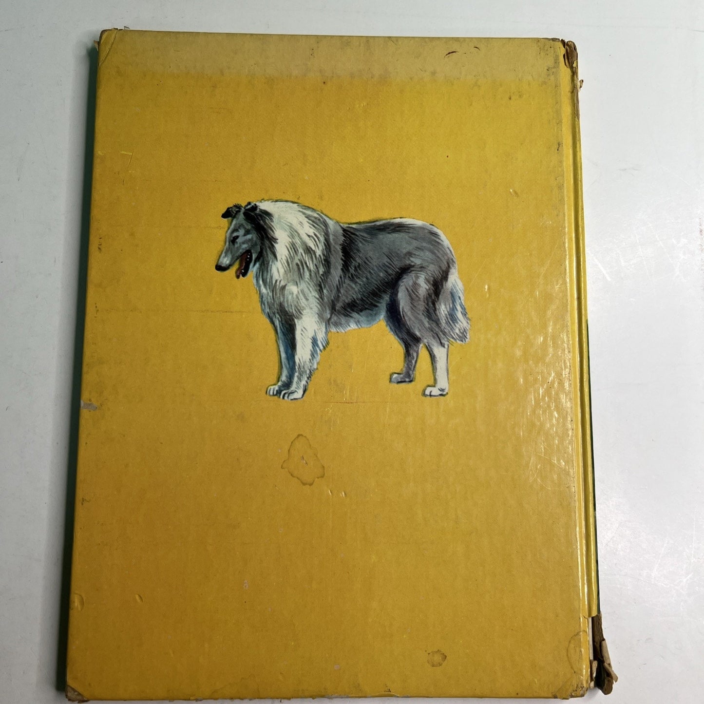 Alfred Ollivant’s Bob, Son Of Battle 1960 Illustrated HC by Olive Price