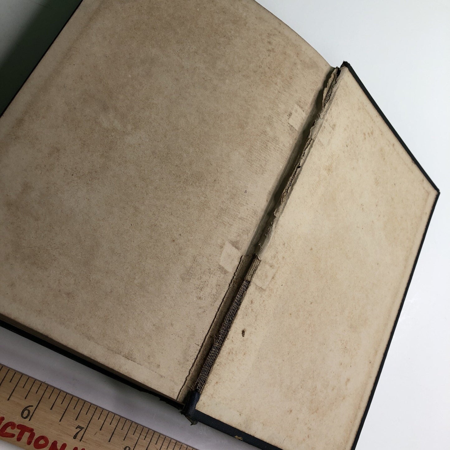 1910 1st Edition Romance of Plant Life By G. F. Scott Elliot HC Illustrated