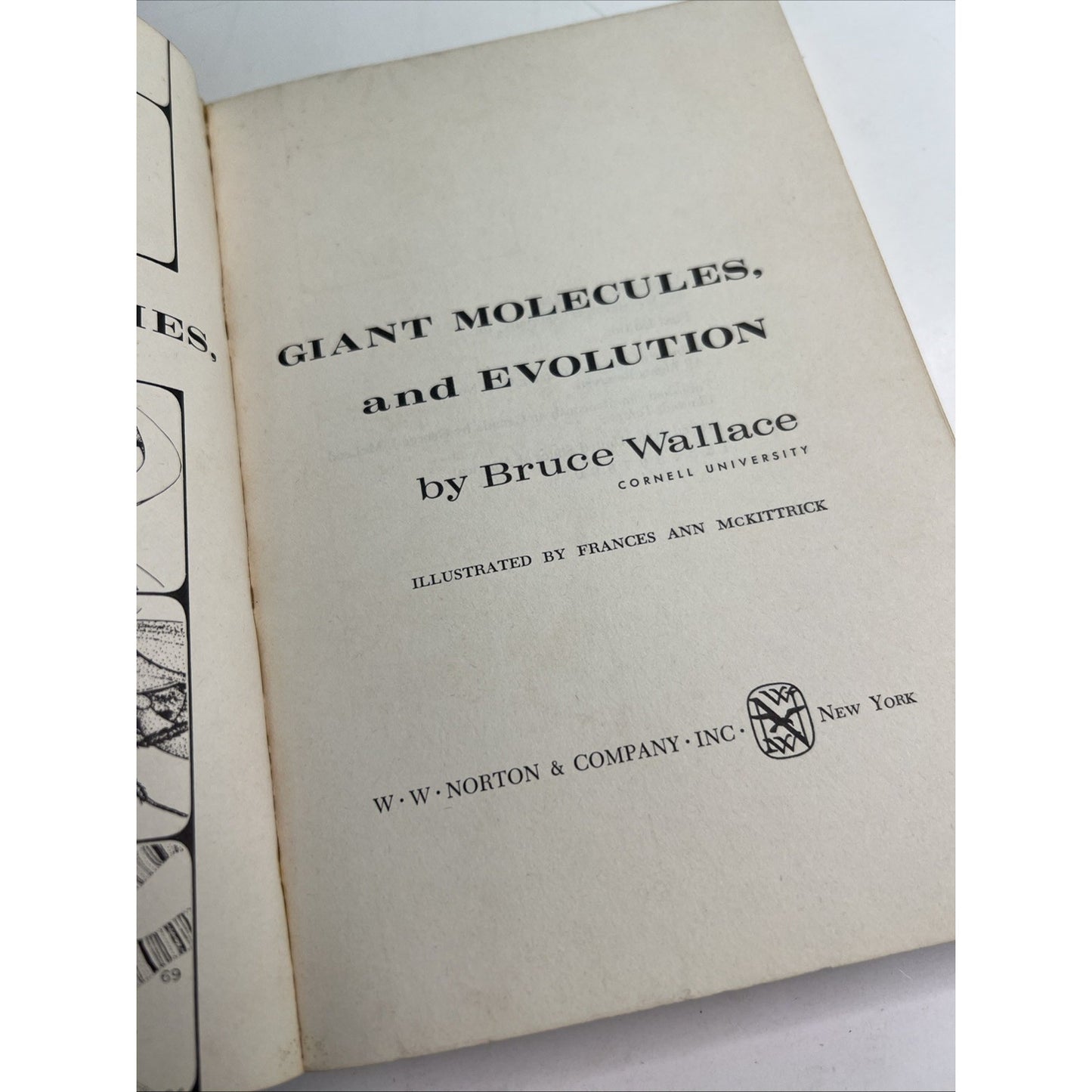 Chromosomes, Giant Molecules, and Evolution by Bruce Wallace 1966 PB 1st Edit.
