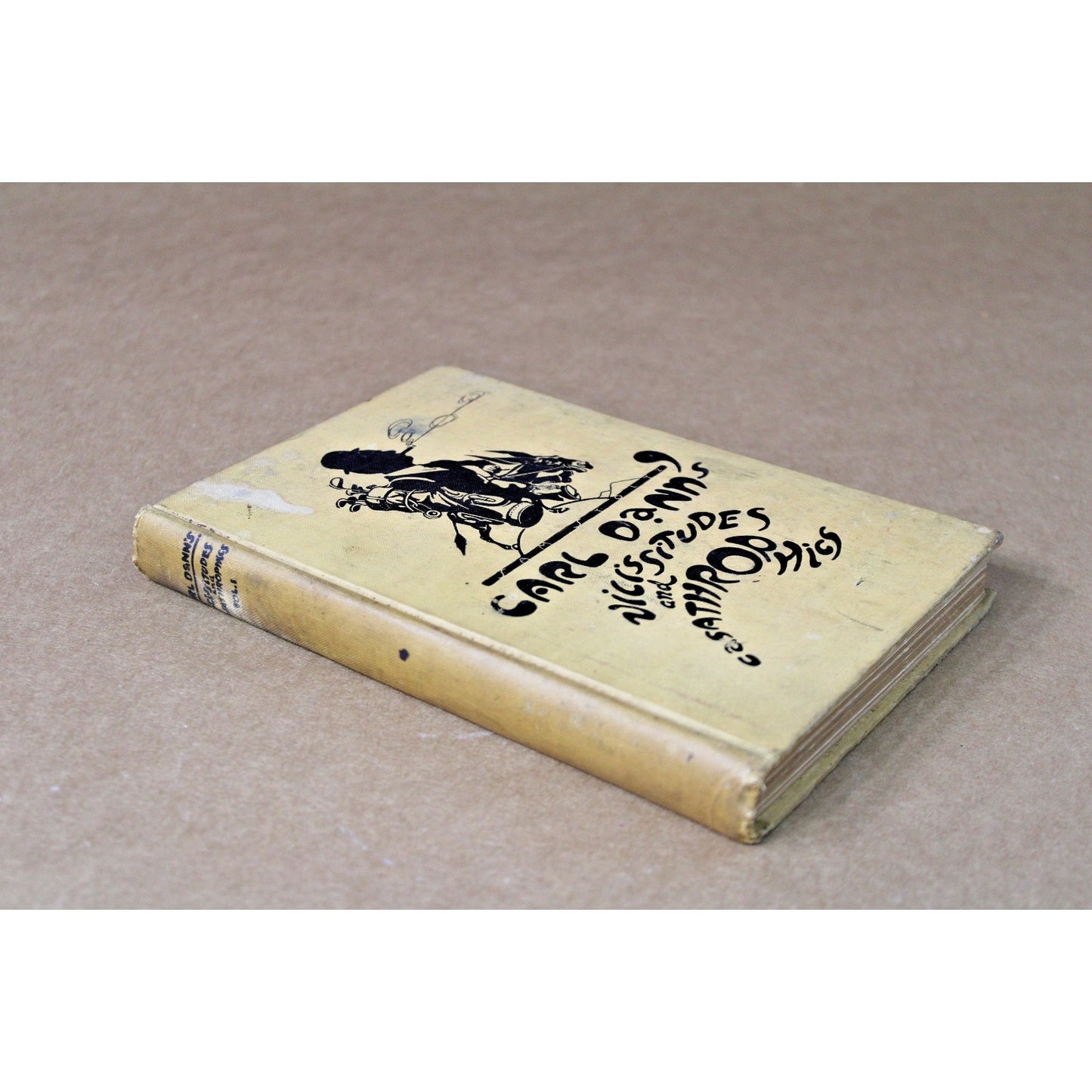 1929 Carl Dann's Vicissitudes And Casathrophics, Orlando Florida History Memoir