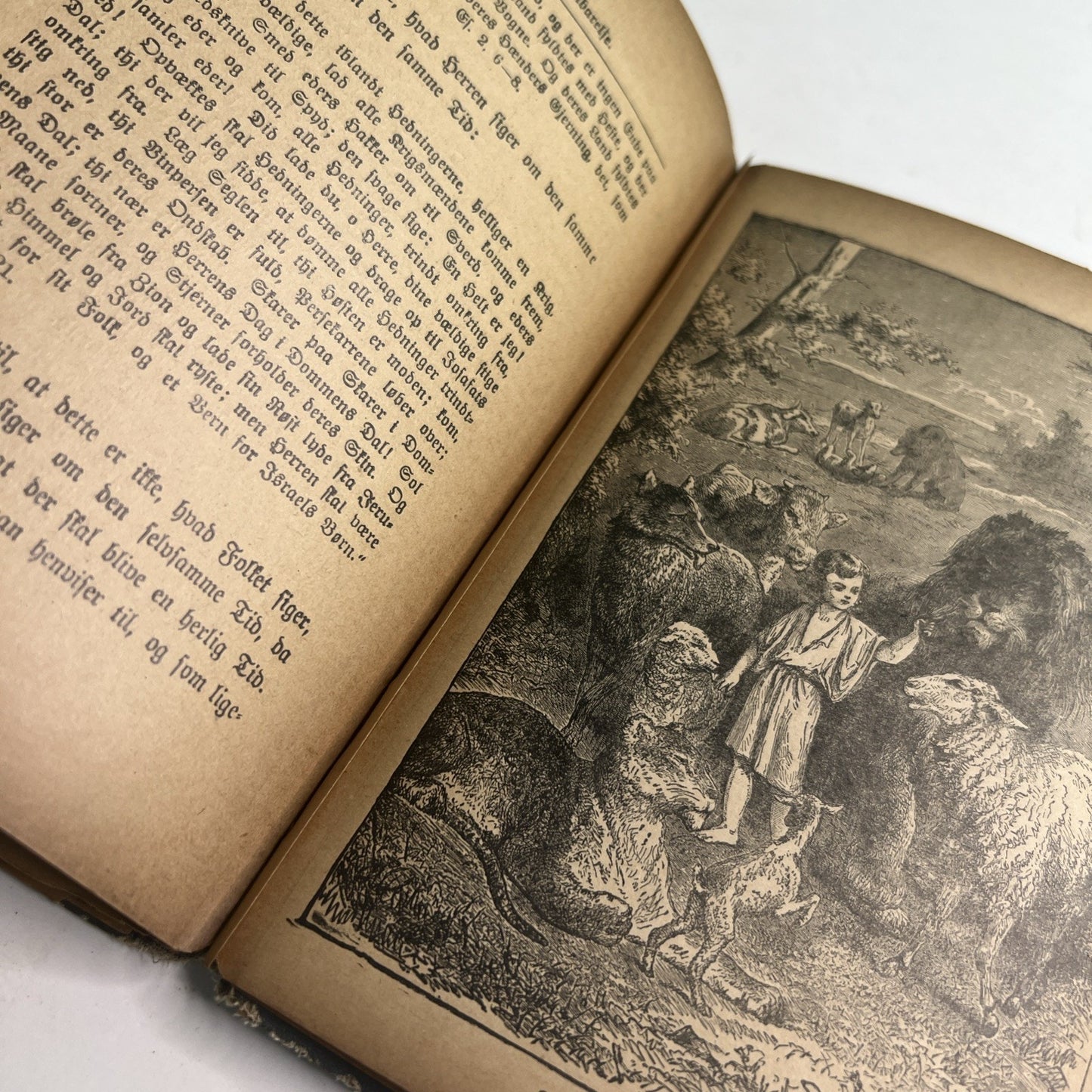 1905 HC Jesu Berlige Aabenbarelse Jesus’ Glorious Revelation Matthew 24 G Tenney