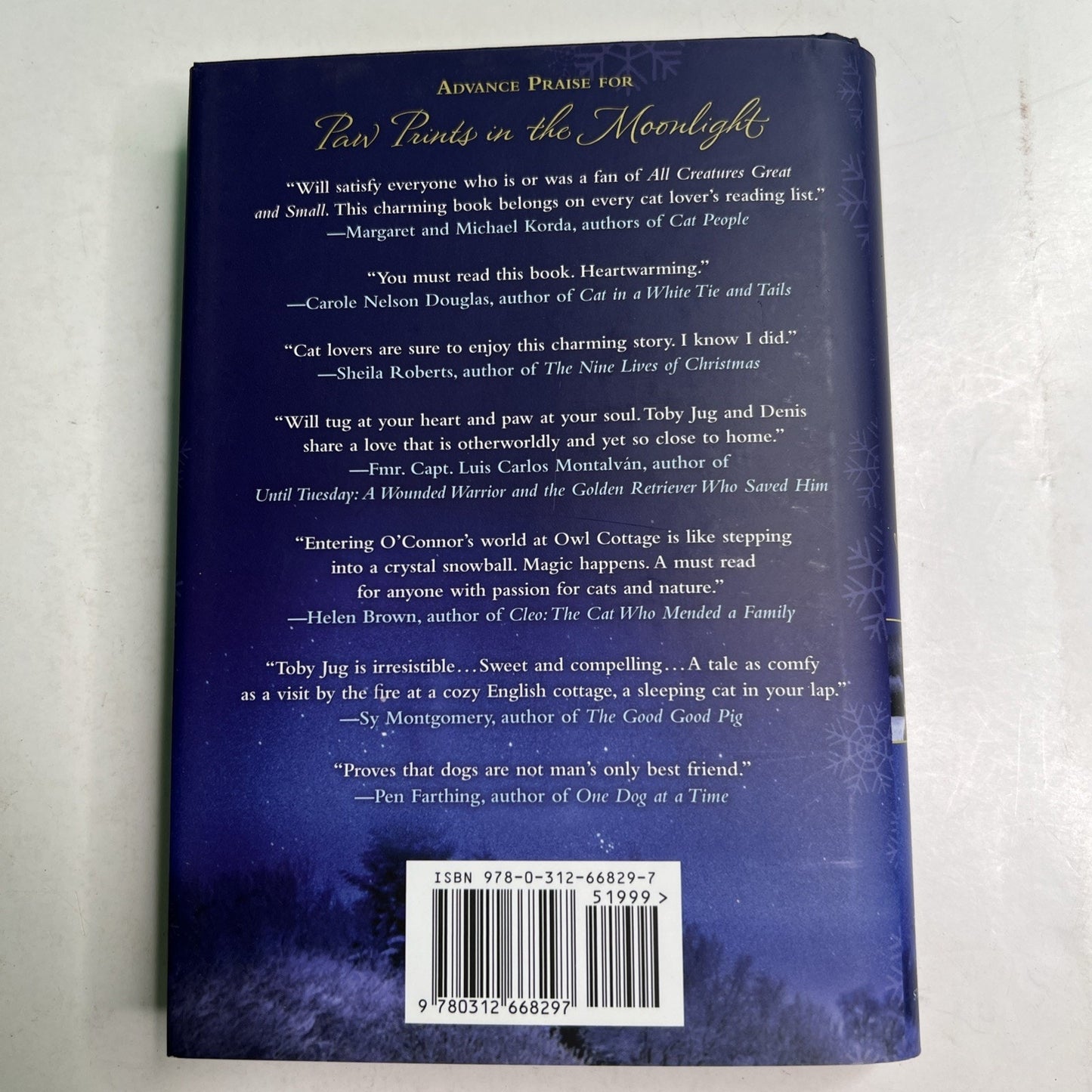 Paw Prints in the Moonlight: The Heartwarming True Story of One Man and his Cat