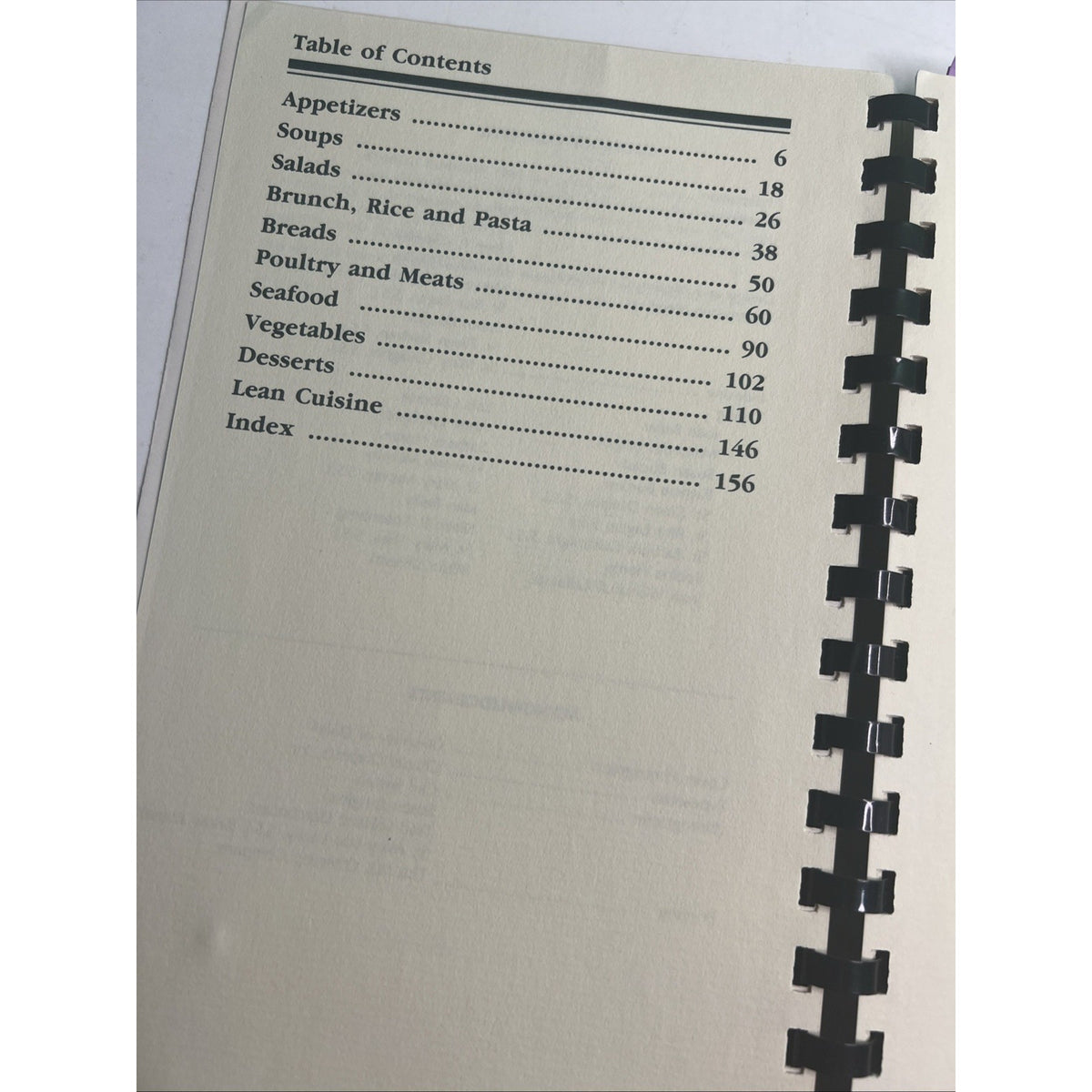 1987 In Good Taste College Of Our Lady Of The Elms Cookbook Chicopee, MA