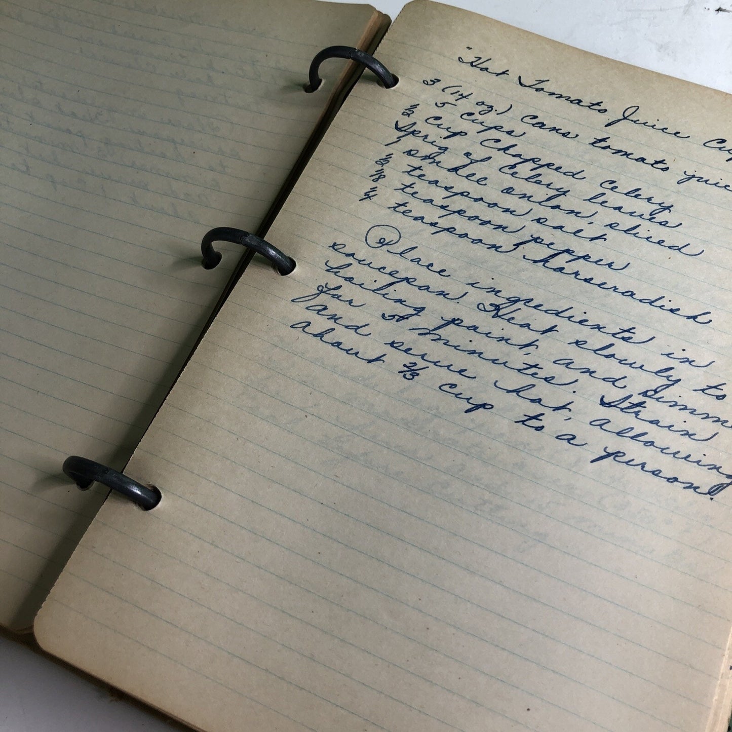 Vintage RECIPES BOOK Binder Three Hole Punched DIY Create Your Own Nutrition