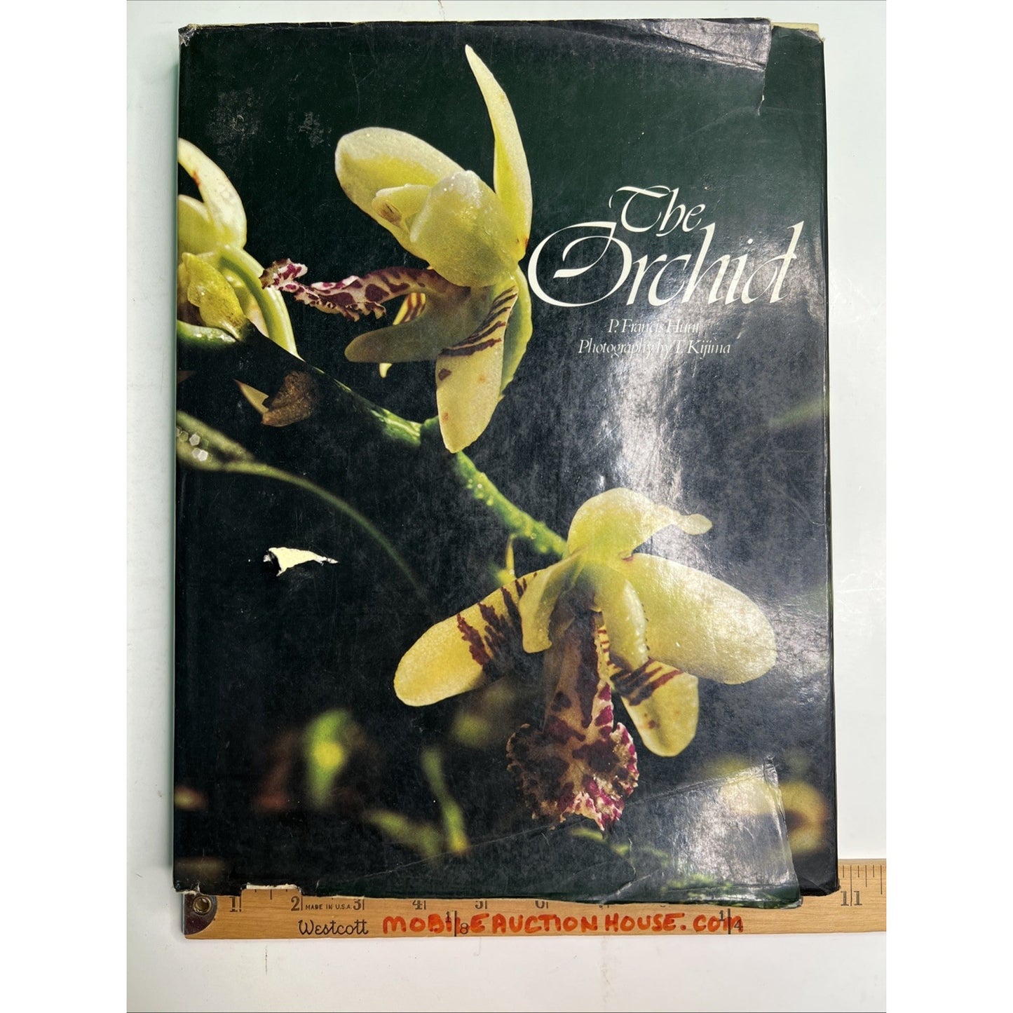 The Orchid by P F Hunt Photos by T Kijima 1978 First Edition HC DJ