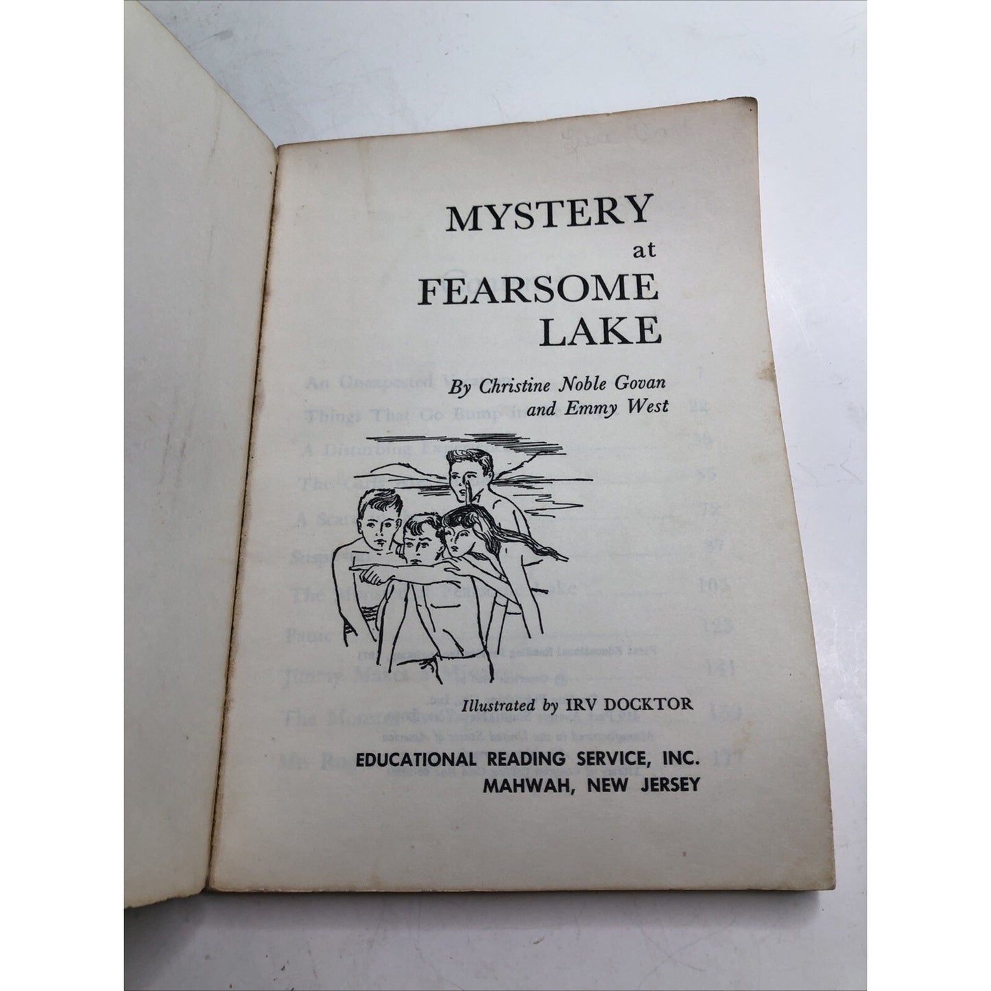 Vintage CHRISTINE GOVAN & EMMY WEST Mystery at Fearsome Lake Lookouts #10