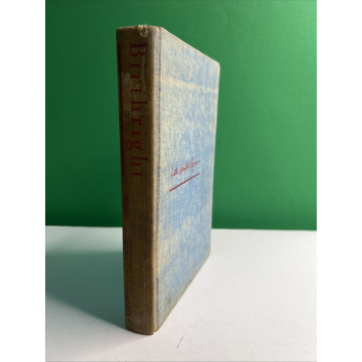 Birthright a Novel by Lettie Hamlett Rogers HC Book Club Ed 308 pgs 1957 VTG