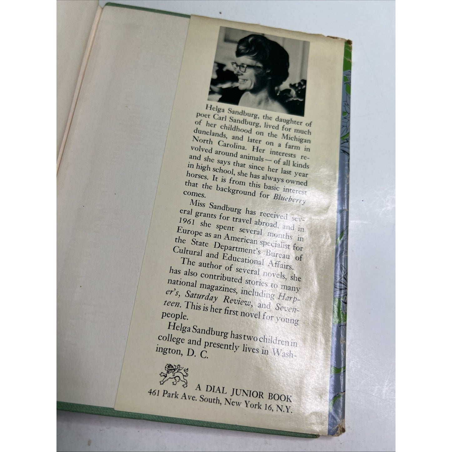 Blueberry by Helga Sandburg 1963 Hardcover With Dust Jacket
