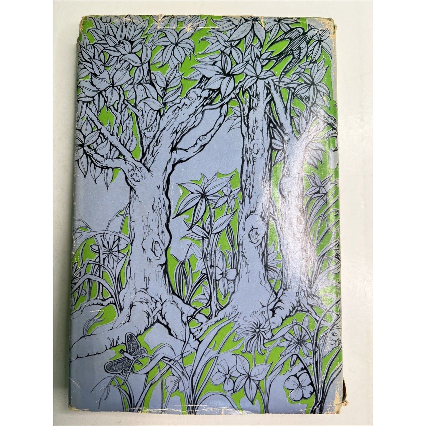 Blueberry by Helga Sandburg 1963 Hardcover With Dust Jacket