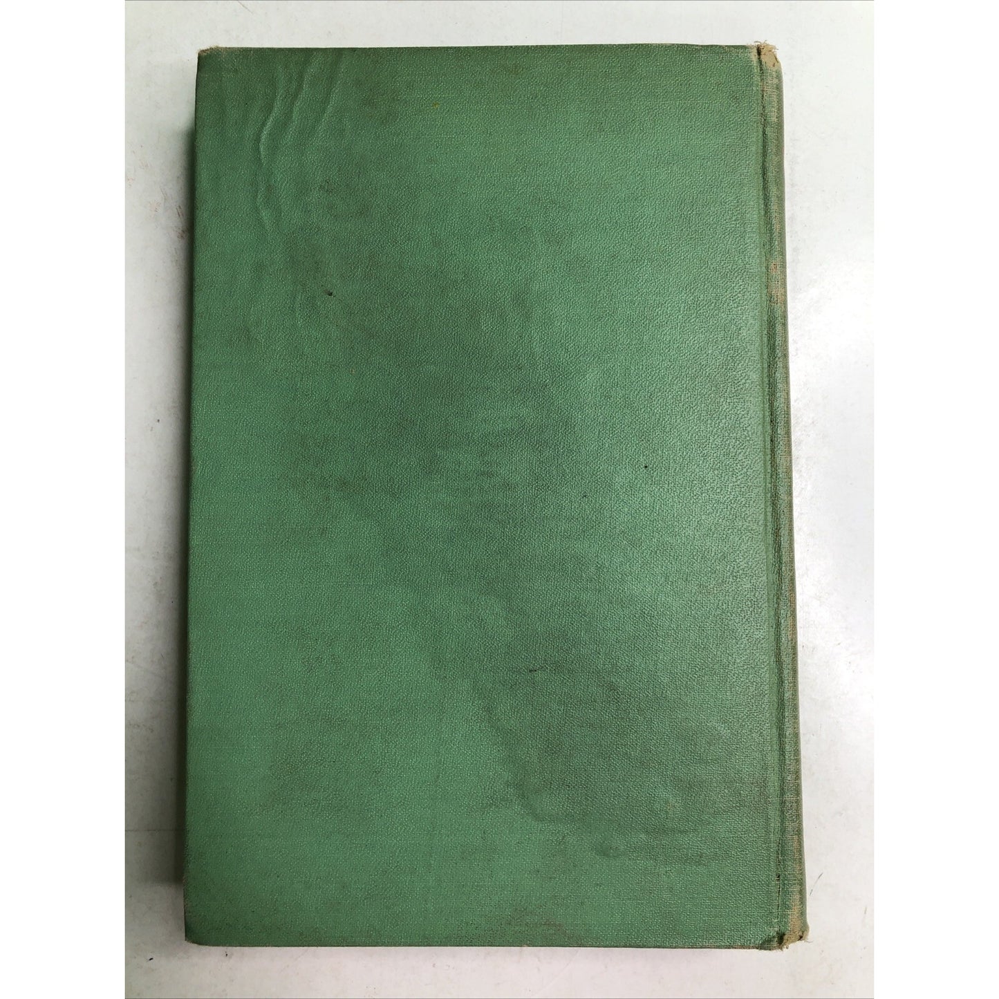 1932 The Magic Walking Stick by John Buchan Published by Houghton Mifflin