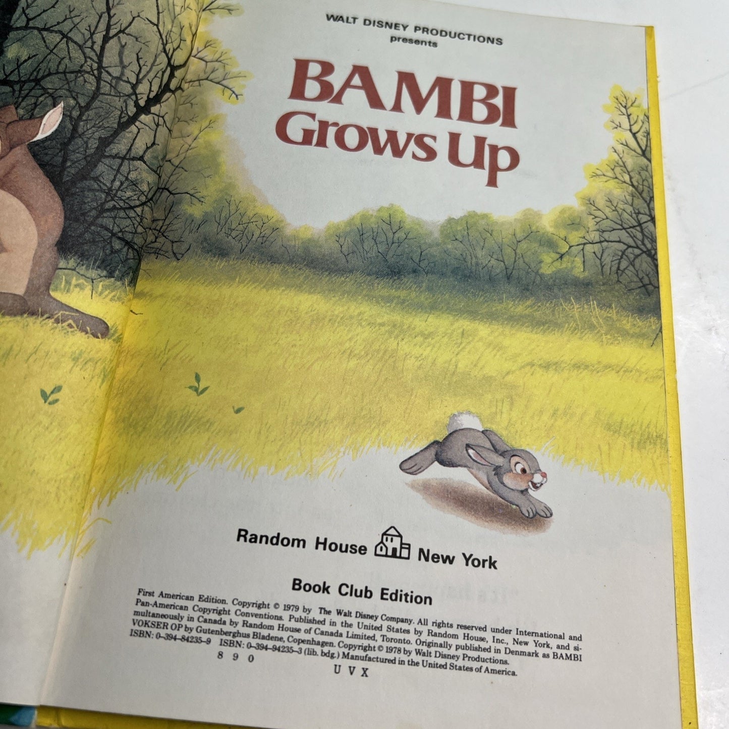 Bambi Grows Up, Disney's Wonderful World of Reading First American Edition 1979