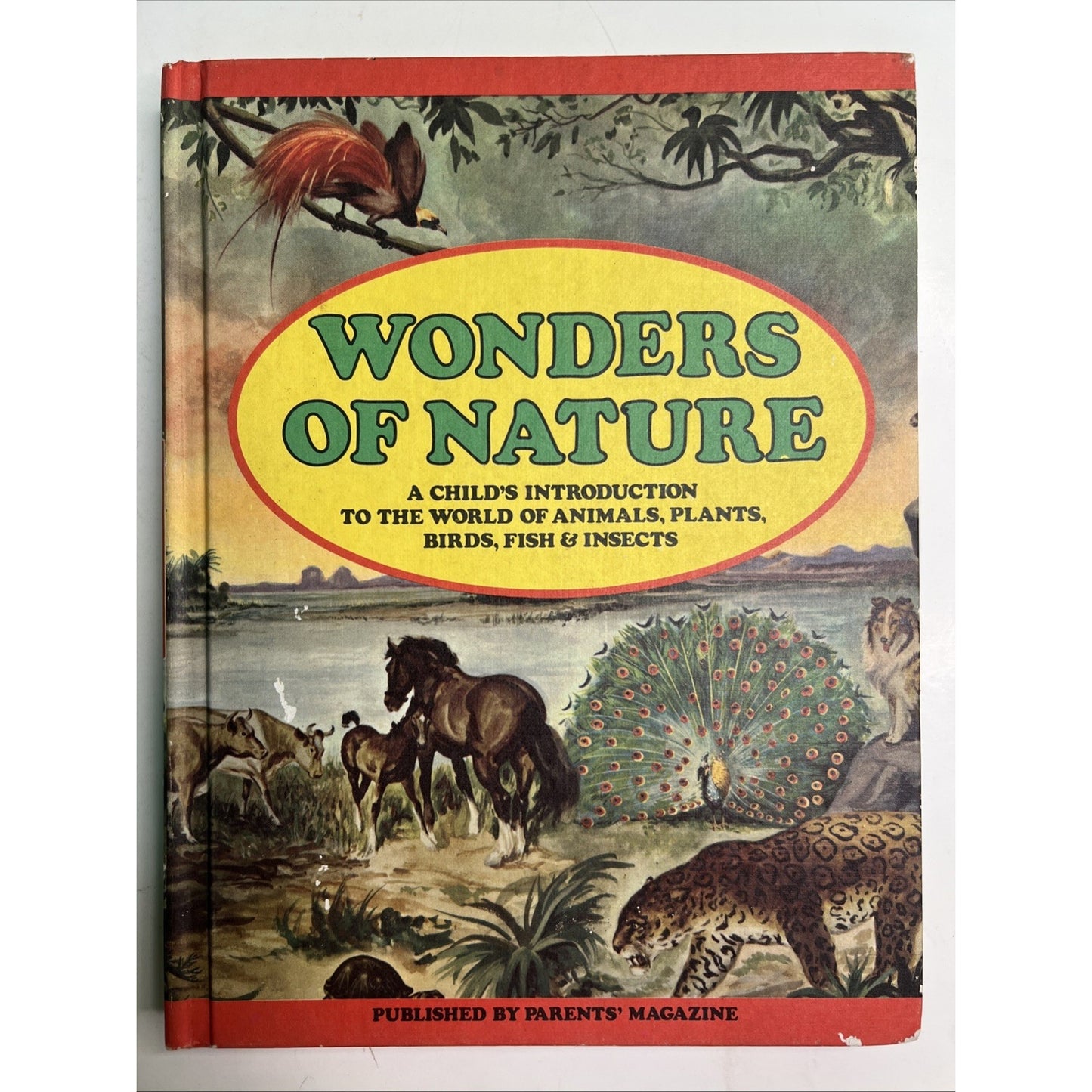 Wonders of Nature A Child's Introduction - Parents Magazine 1974 HC Illustrated