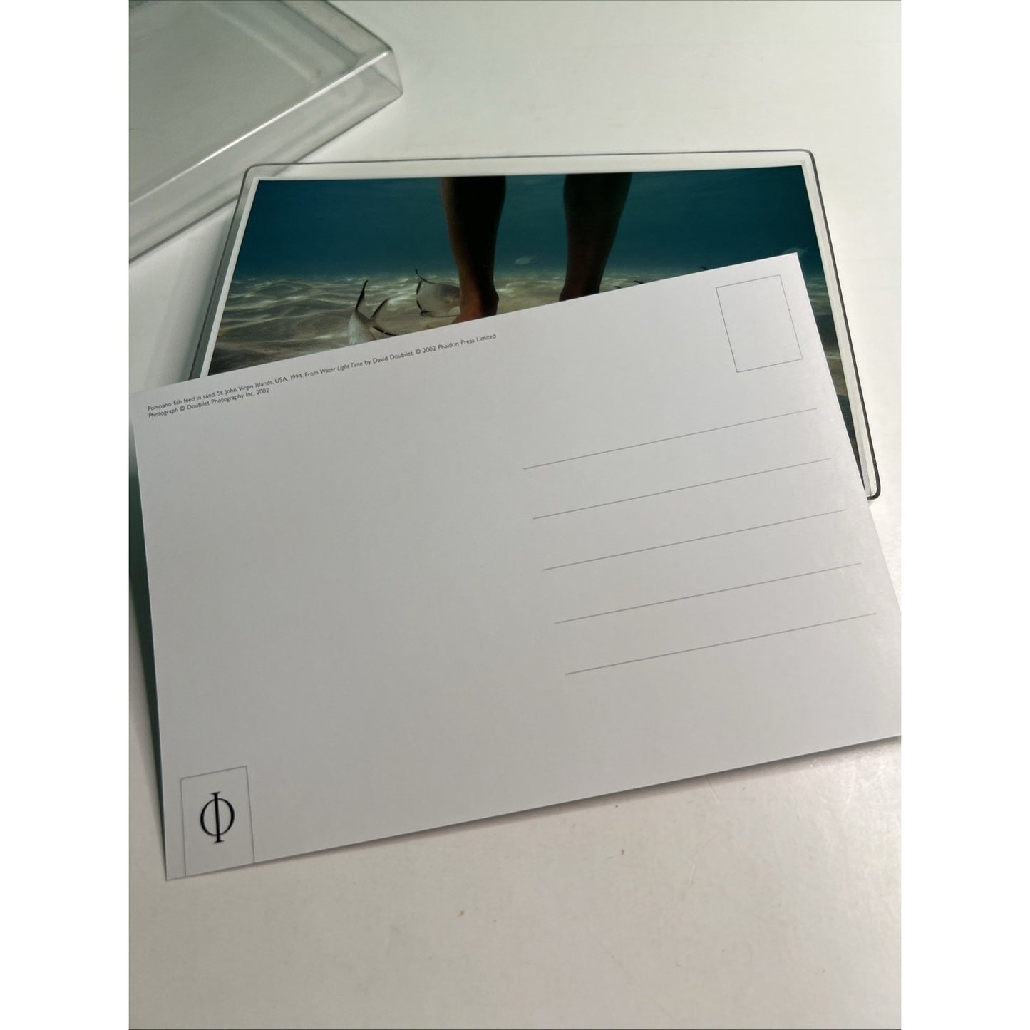 David Doubilet Water Light Time Boxed Set Of Postcards Phaidon