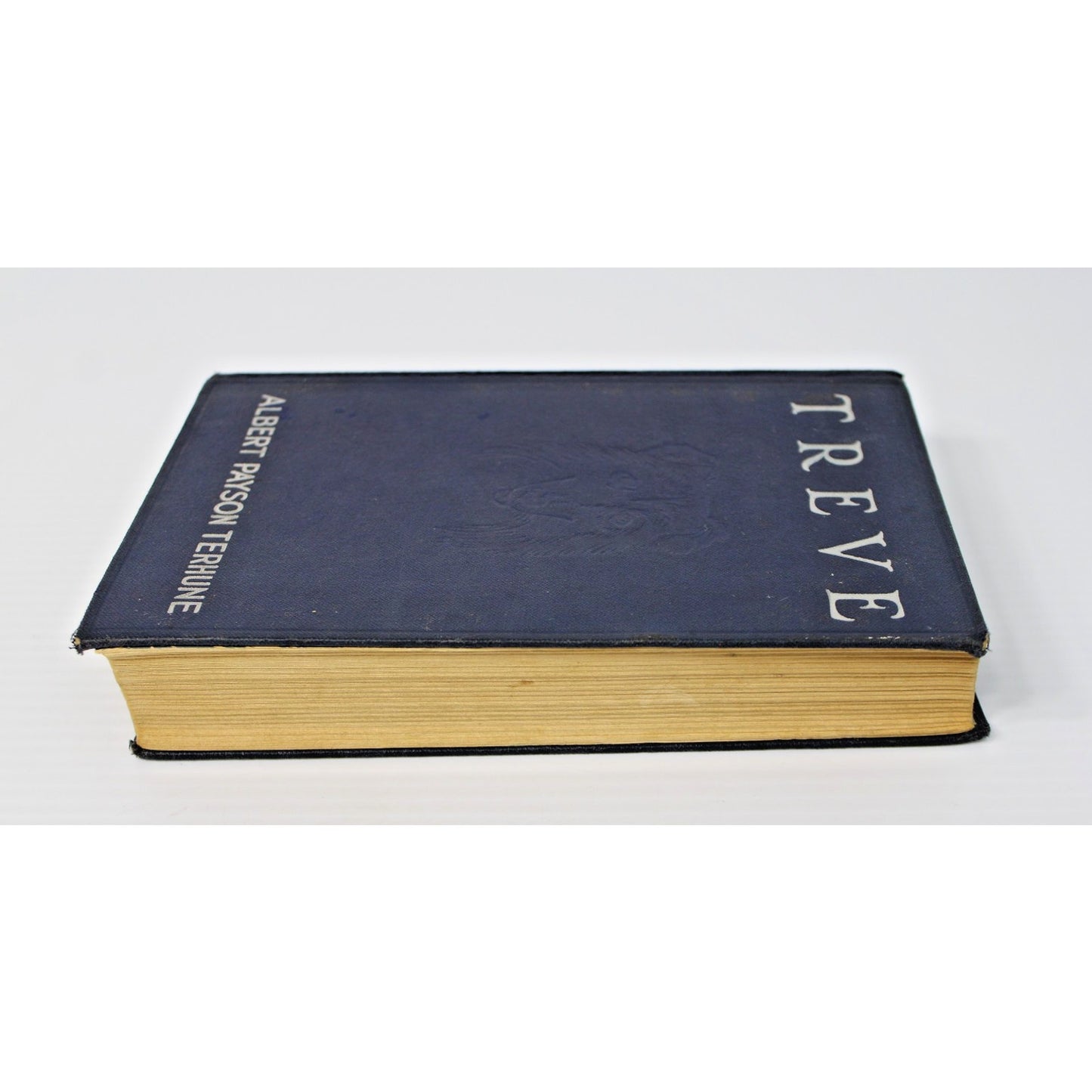 Treve- Albert Payson Terhune, 1924 1st edition HC, Tale of a Collie