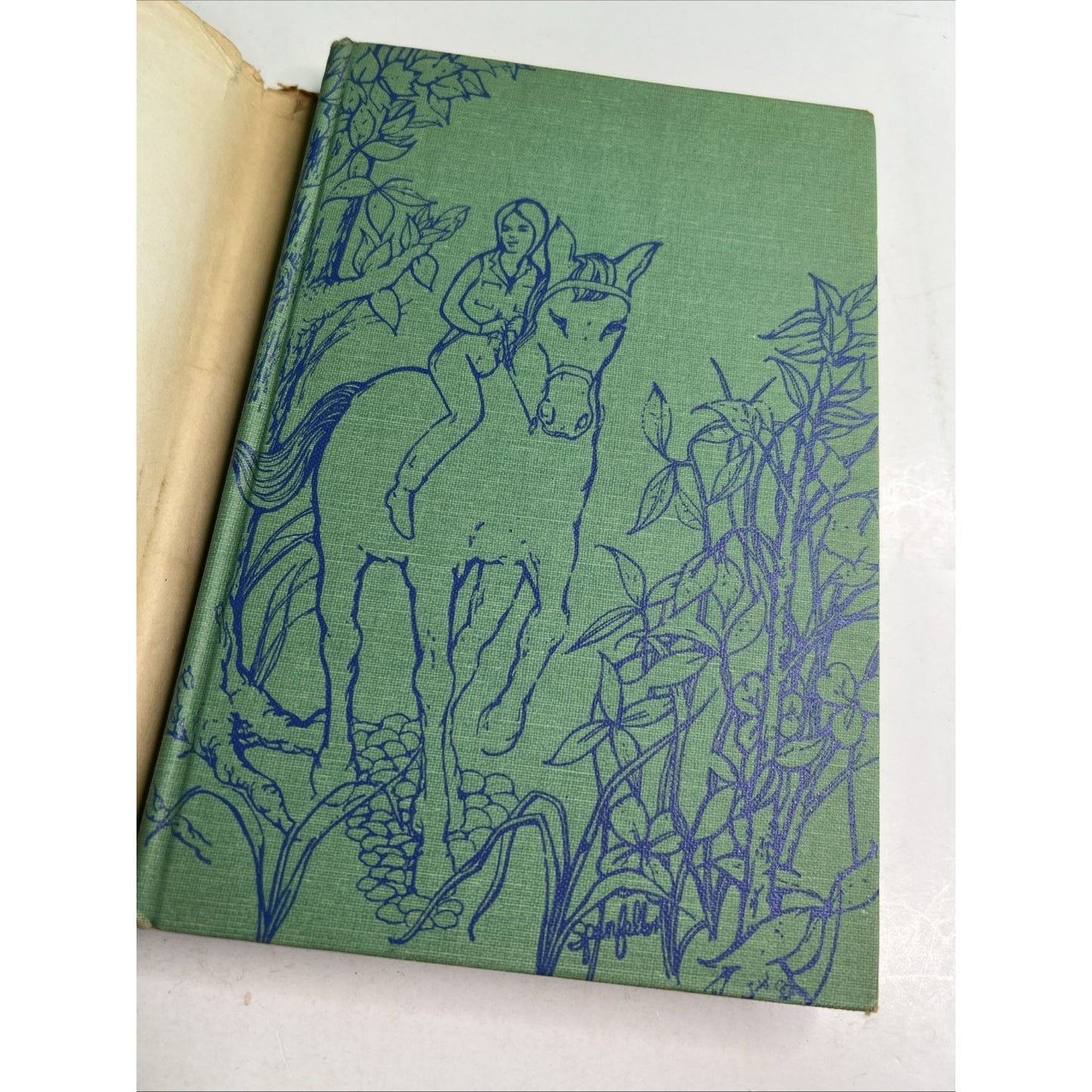 Blueberry by Helga Sandburg 1963 Hardcover With Dust Jacket